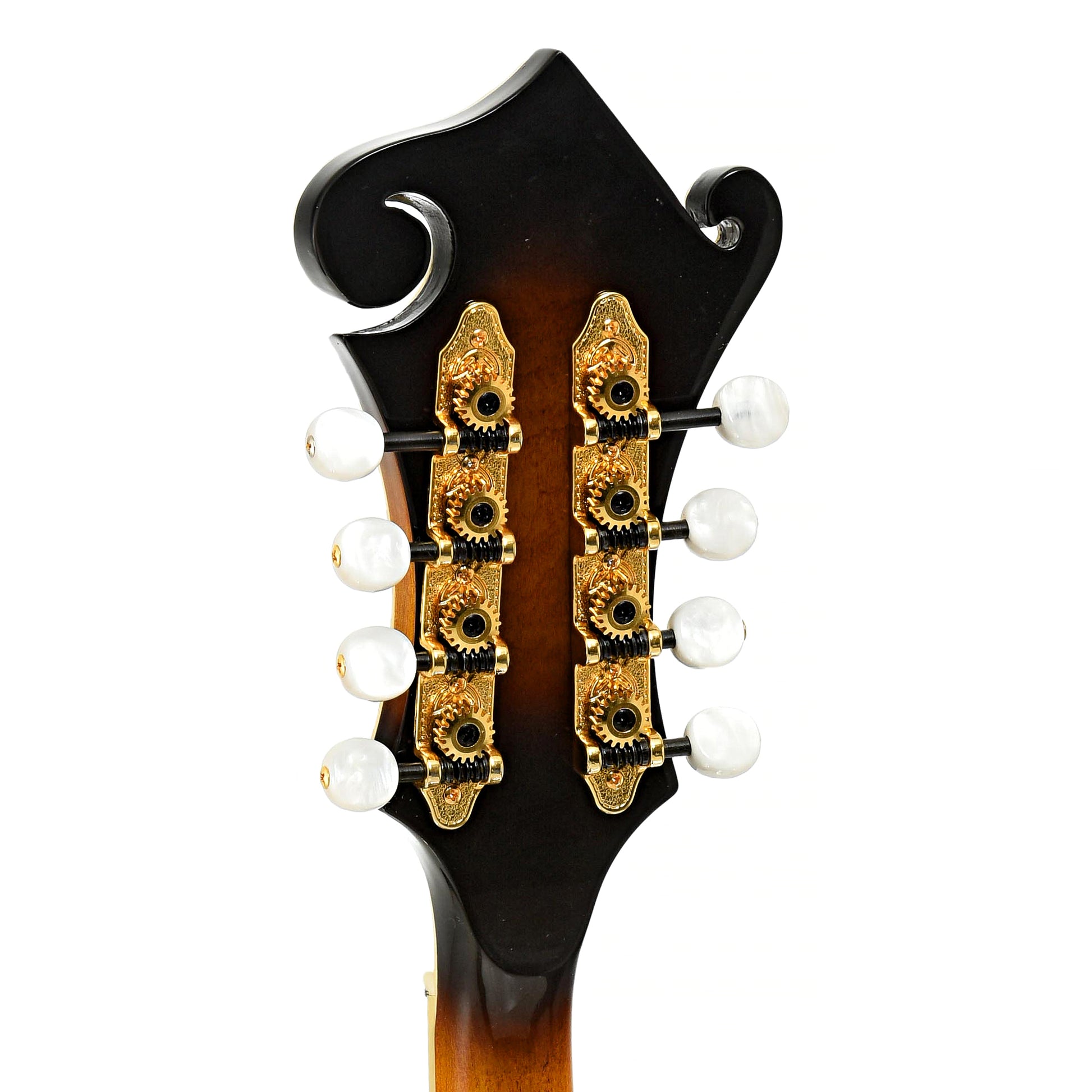 Tuners of Gold Tone GM-70 Plus Mandolin