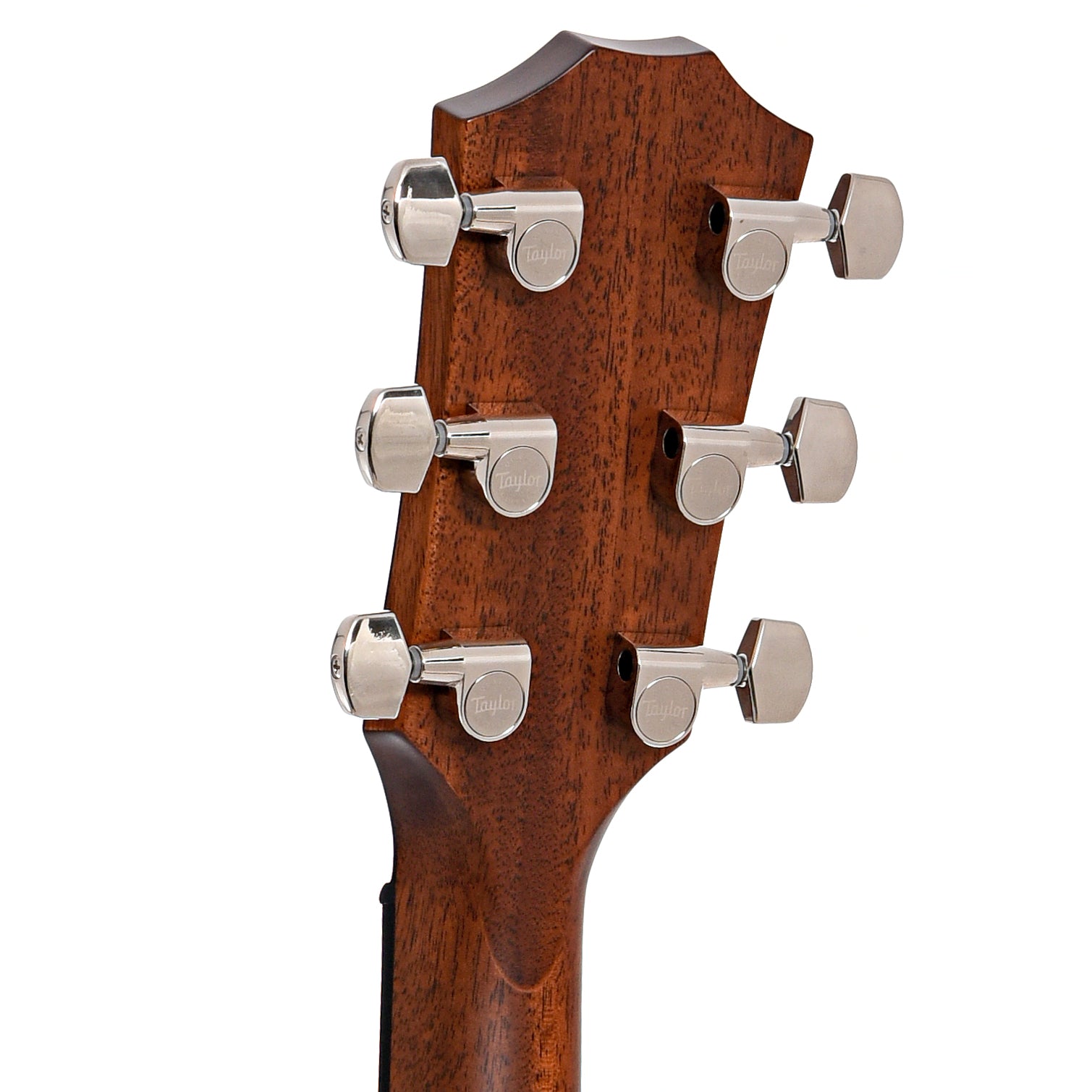 Back headstock of Taylor 417e Acoustic