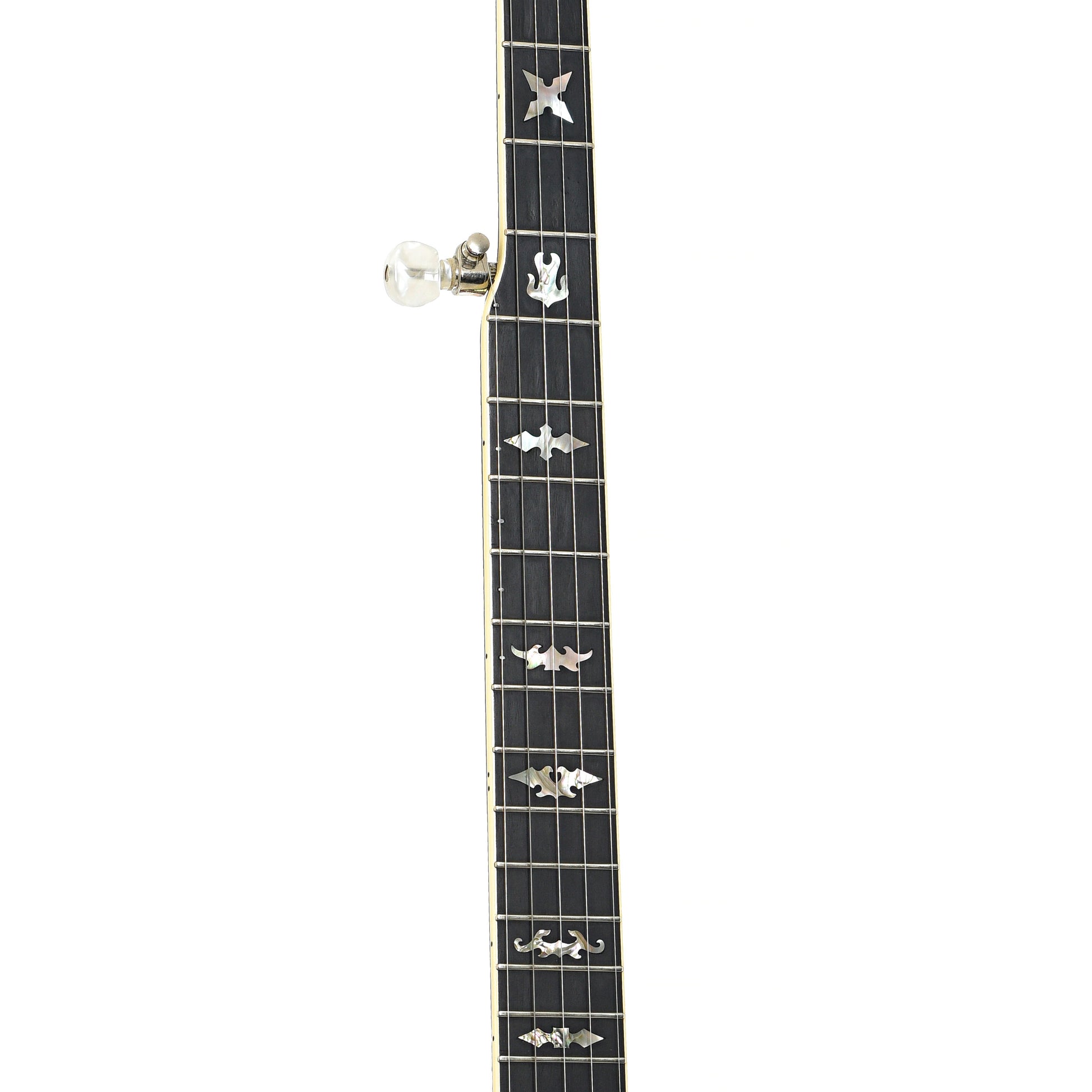 Fretboard of Stelling Staghorn Resonator Banjo (c.1984)