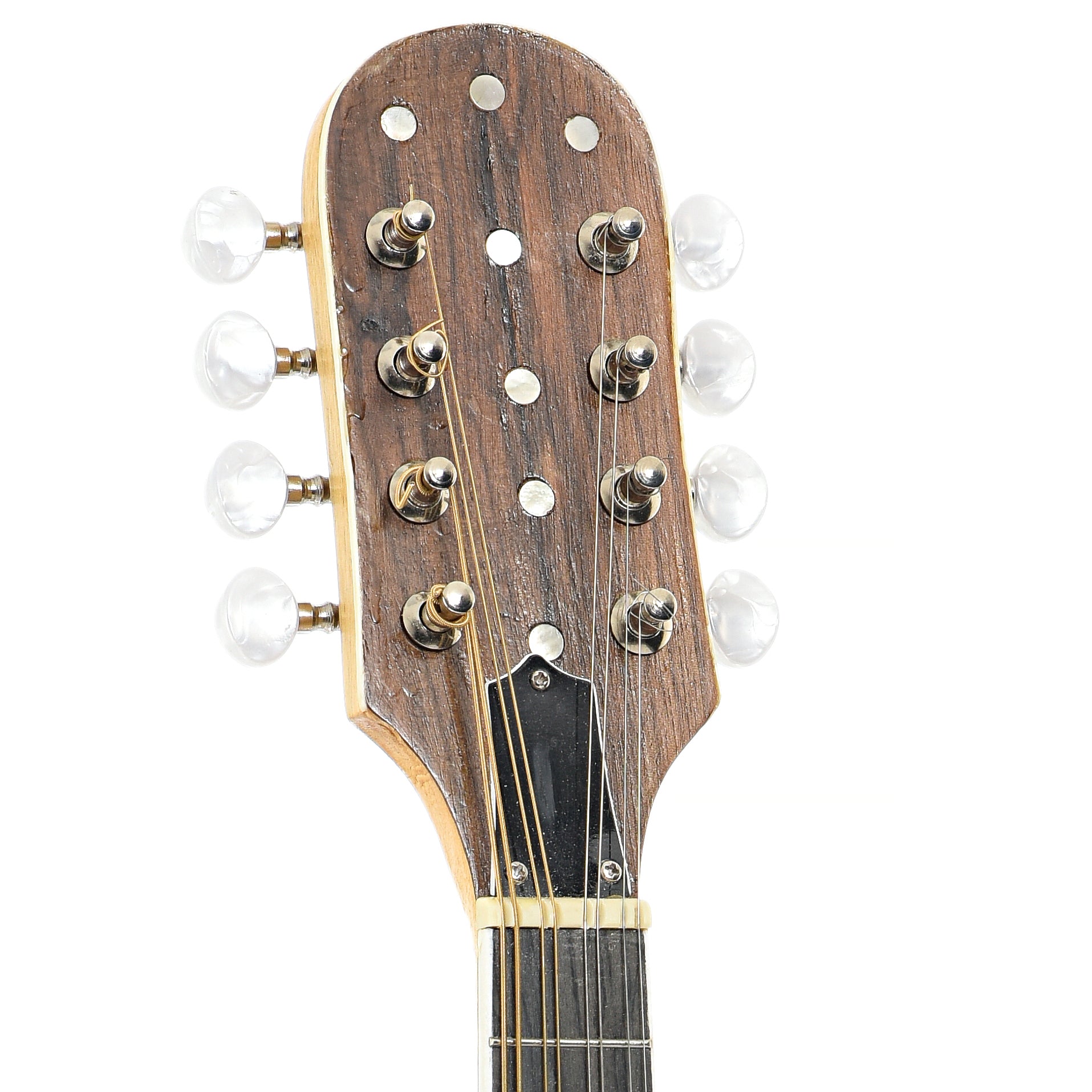 Front headstock of Jordan L. Buck A-Style Kit Mandolin (2024)