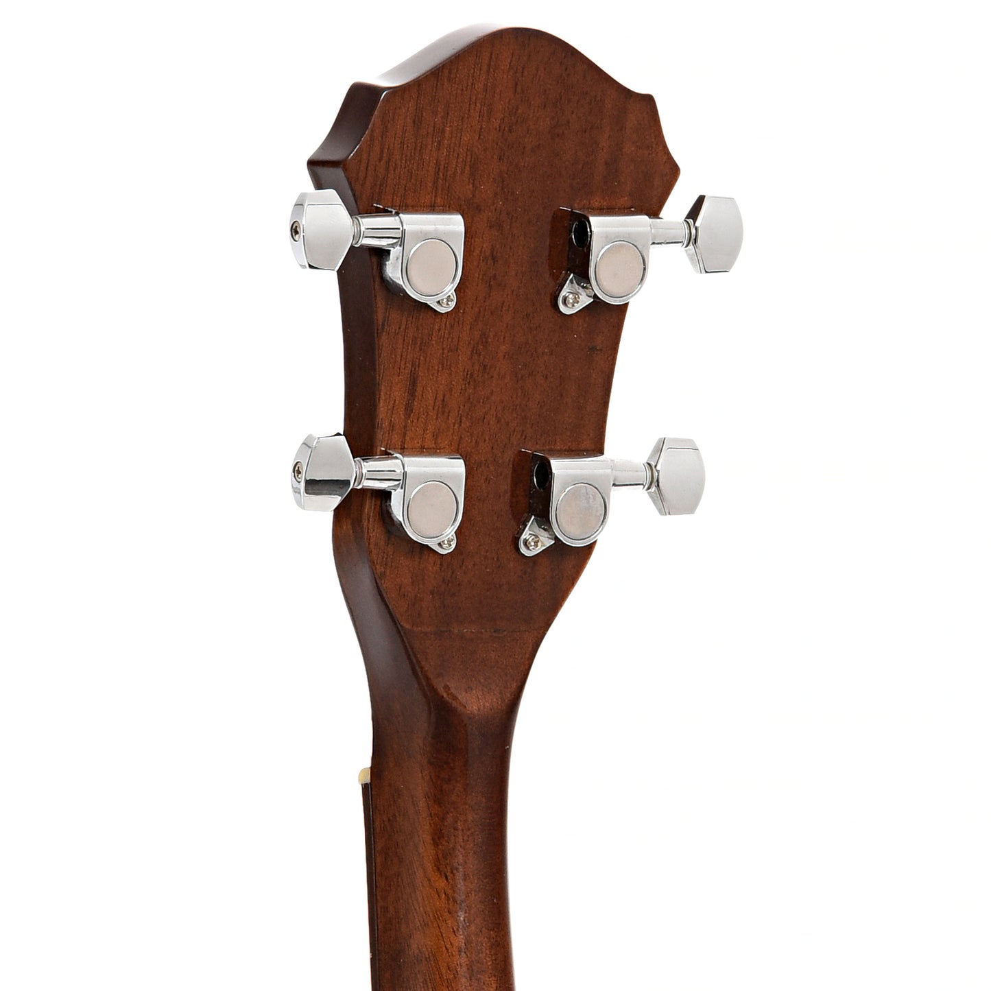 BAck headstock of Rover RB-20 Open Back Banjo (2019)