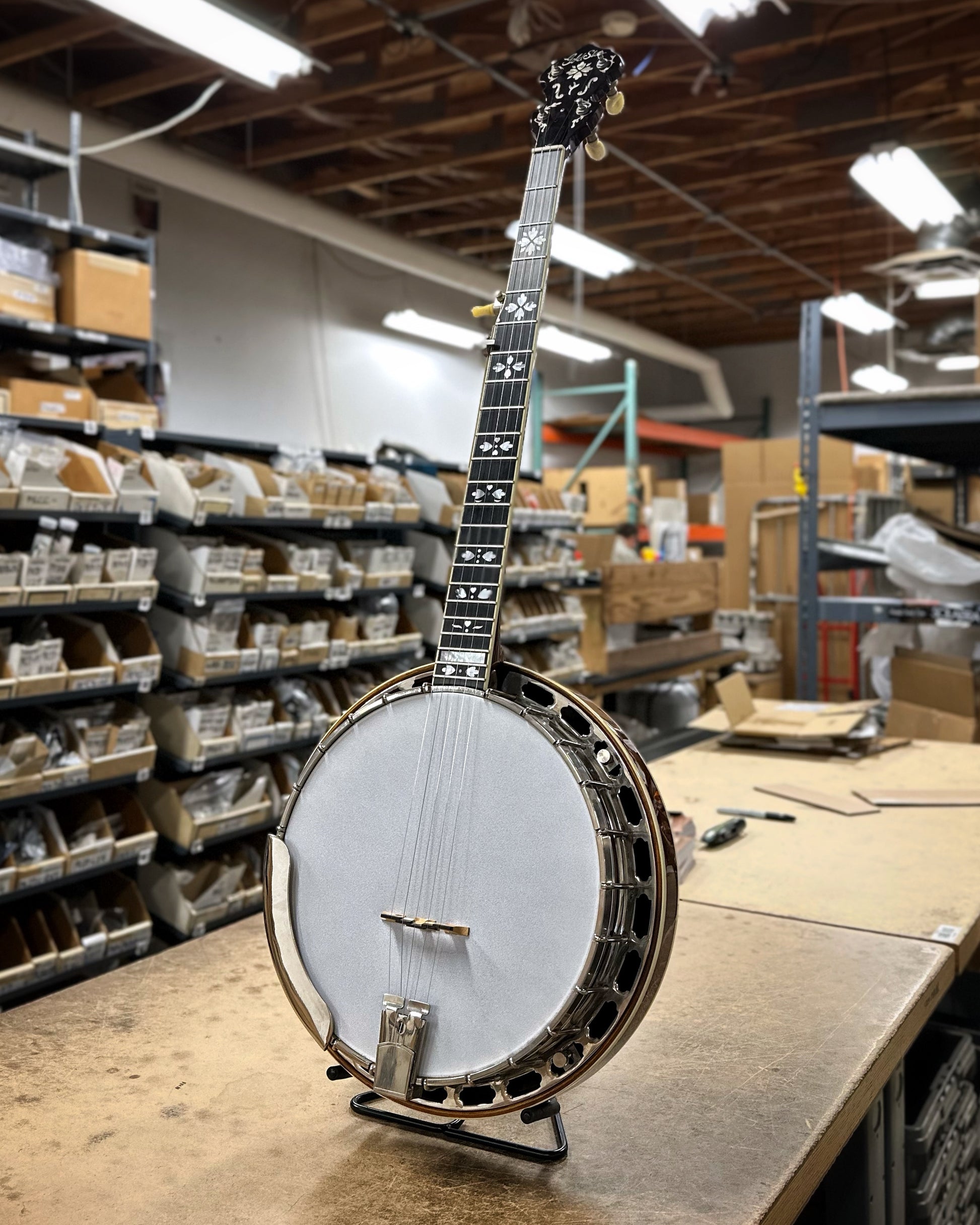 Showroom photo of Full front and side of Gold Star GF100HF Banjo