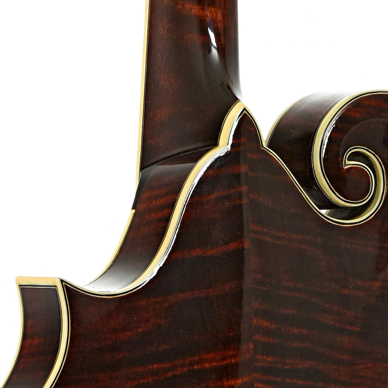 Neck joint of Eastman MD814 F-Style Mandolin