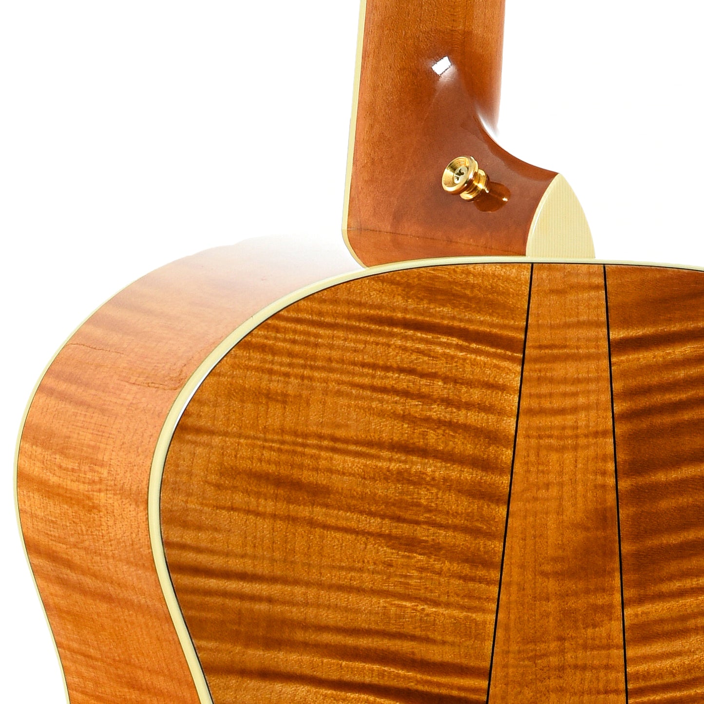 Neck joint of Taylor GA-6 Acoustic Guitar