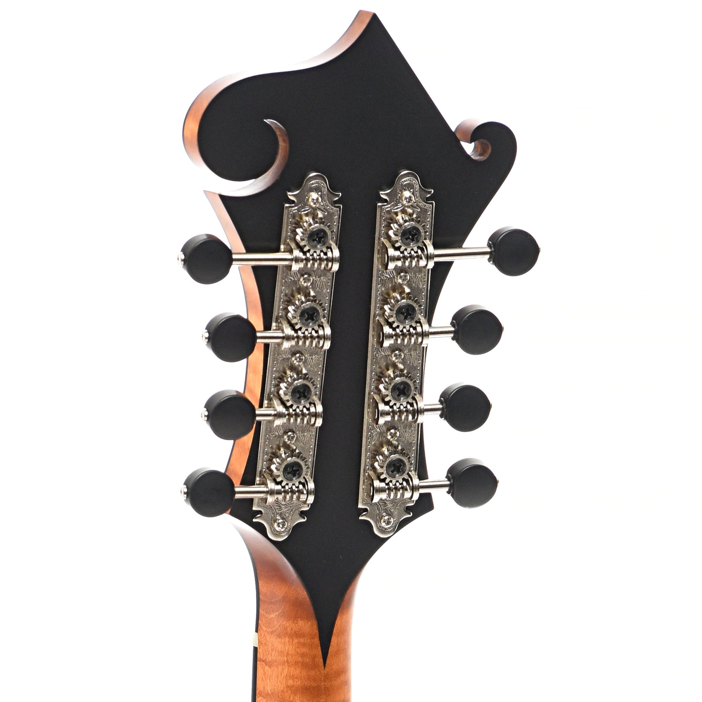 Back headstock of Collings MF F-Model 