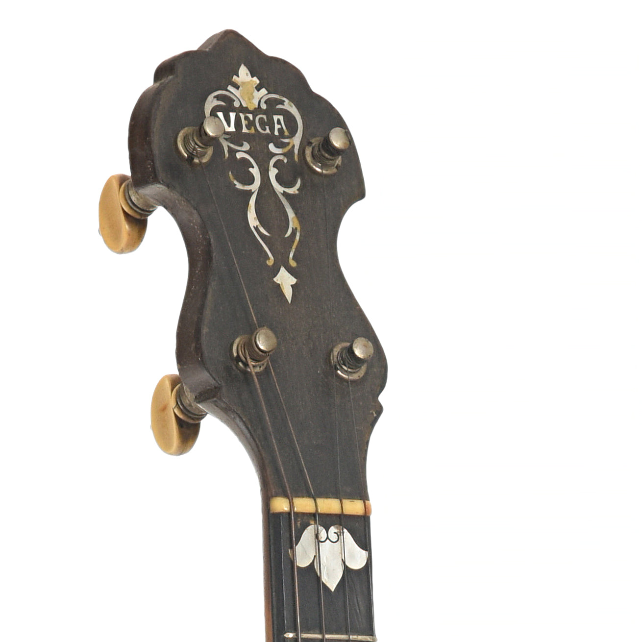 Headstock of Vega Vegaphone Professional Tenor Banjo 