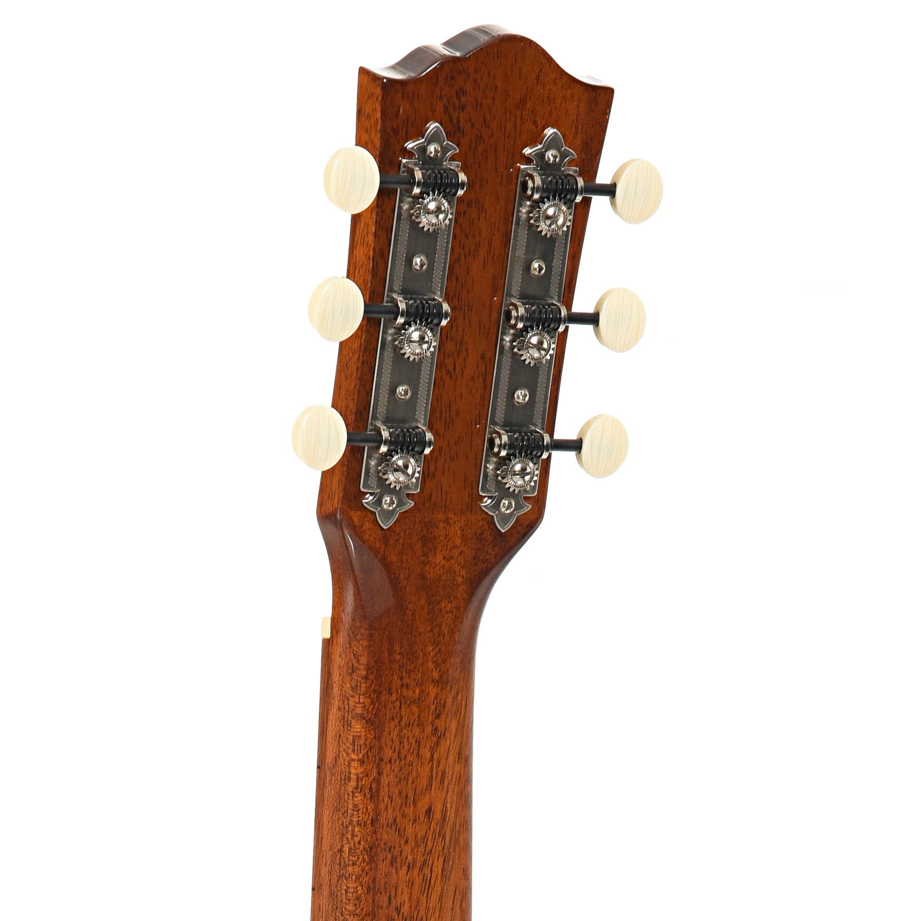 BAck headstock of Farida OT-22 WIDE VBS Acoustic Guitar (2020)