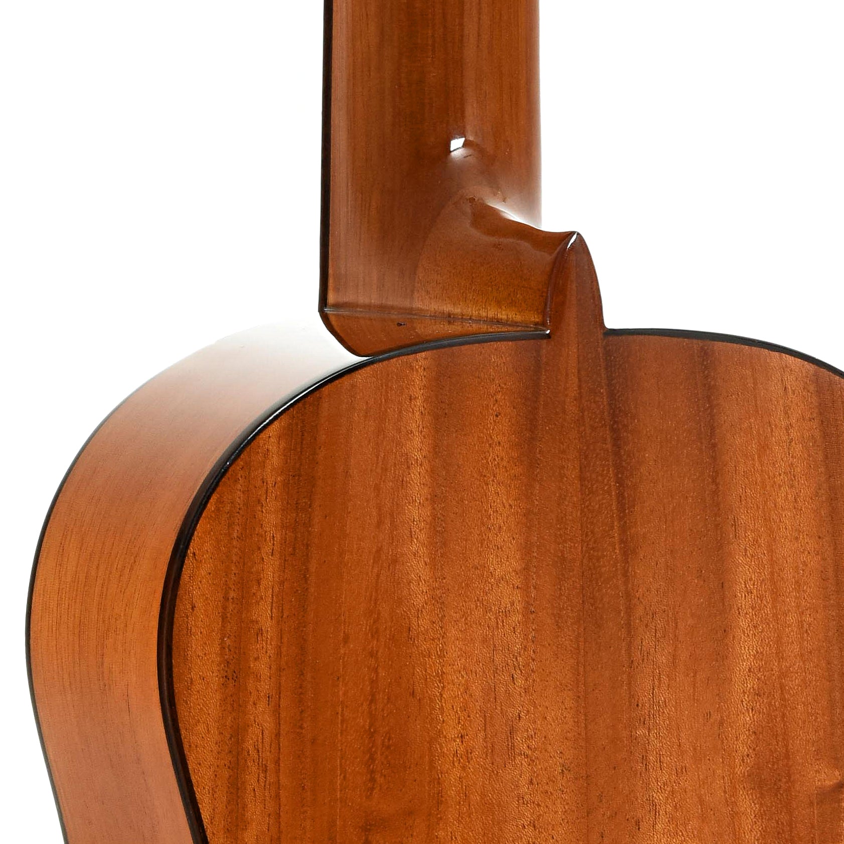 Neck joint of Cordoba 30T Tenor Ukulele 