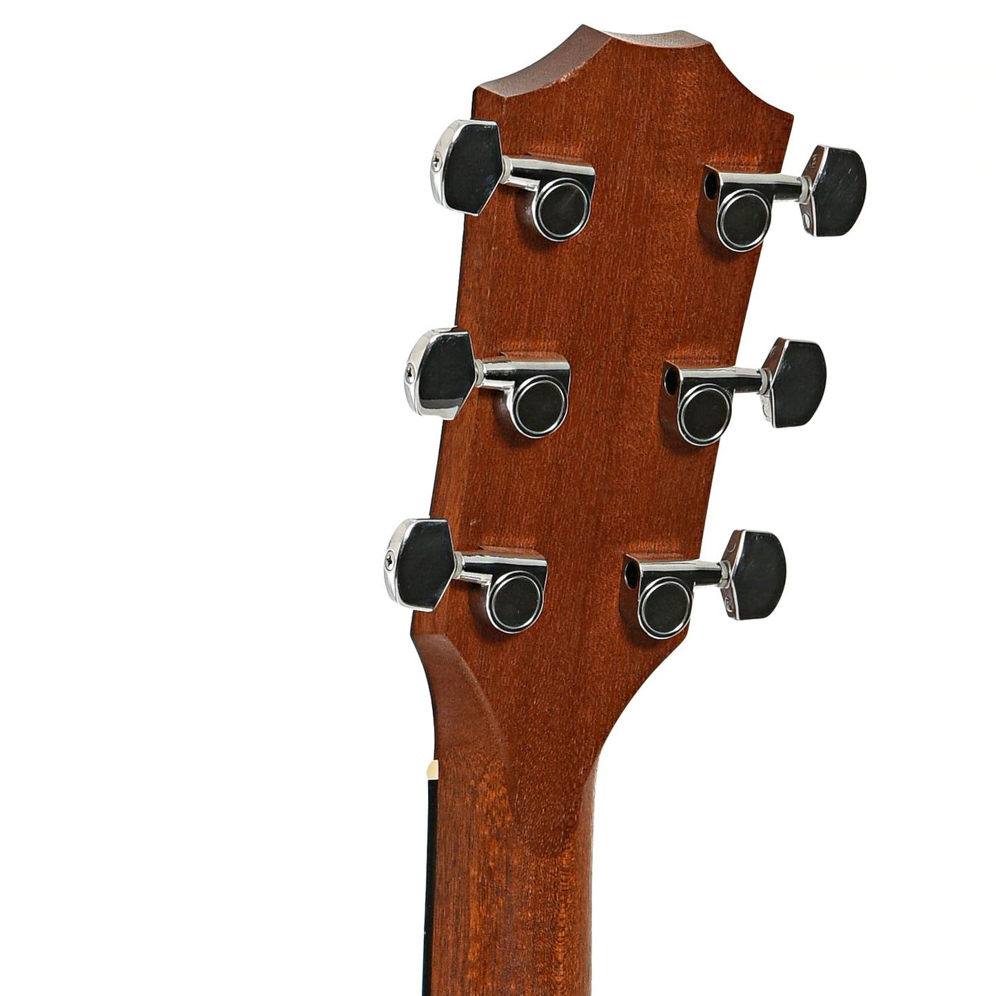 BAck headstock of Taylor 210e Acoustic-Electric Guitar (2009)