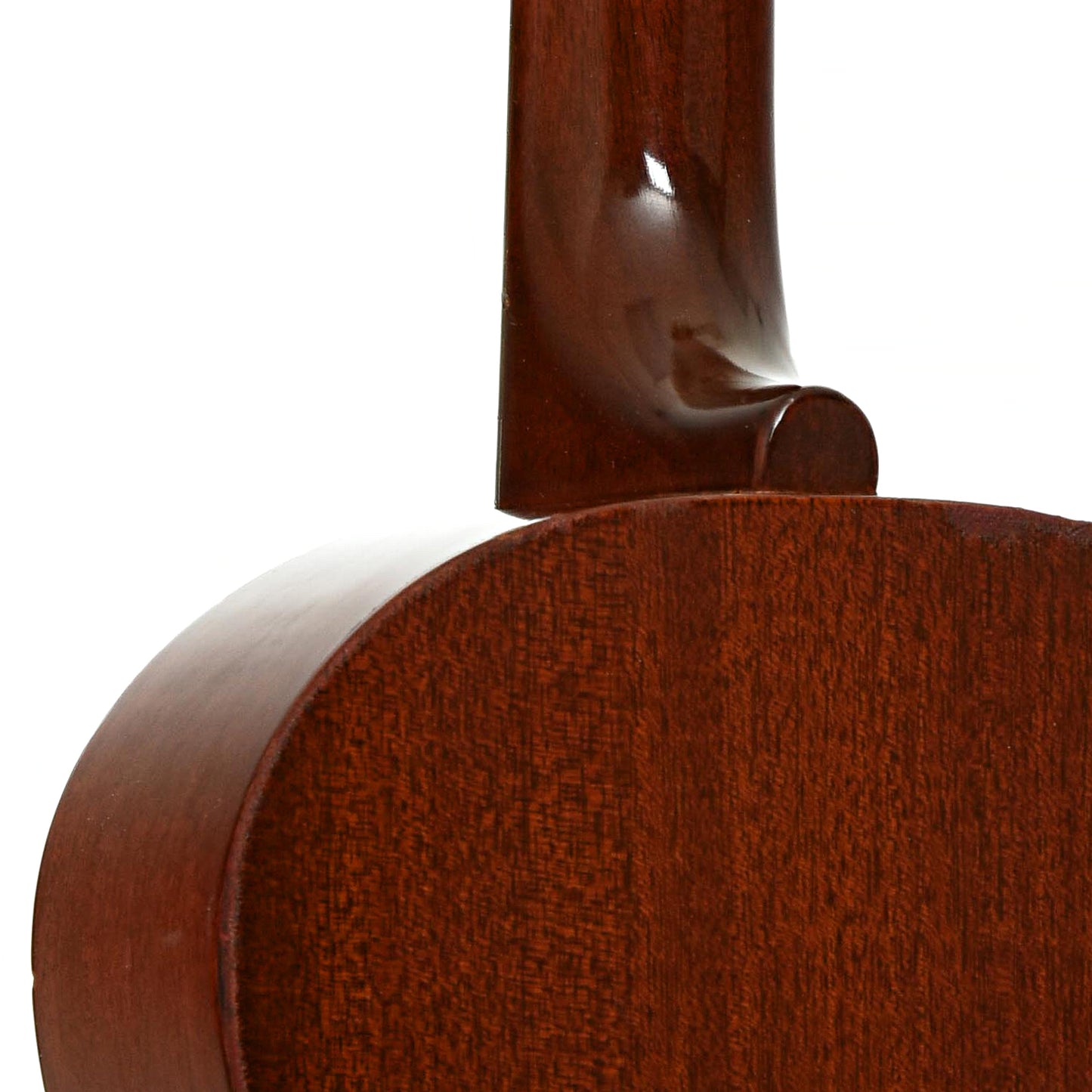 Neck joint of Favilla B-2 Baritone Ukulele 