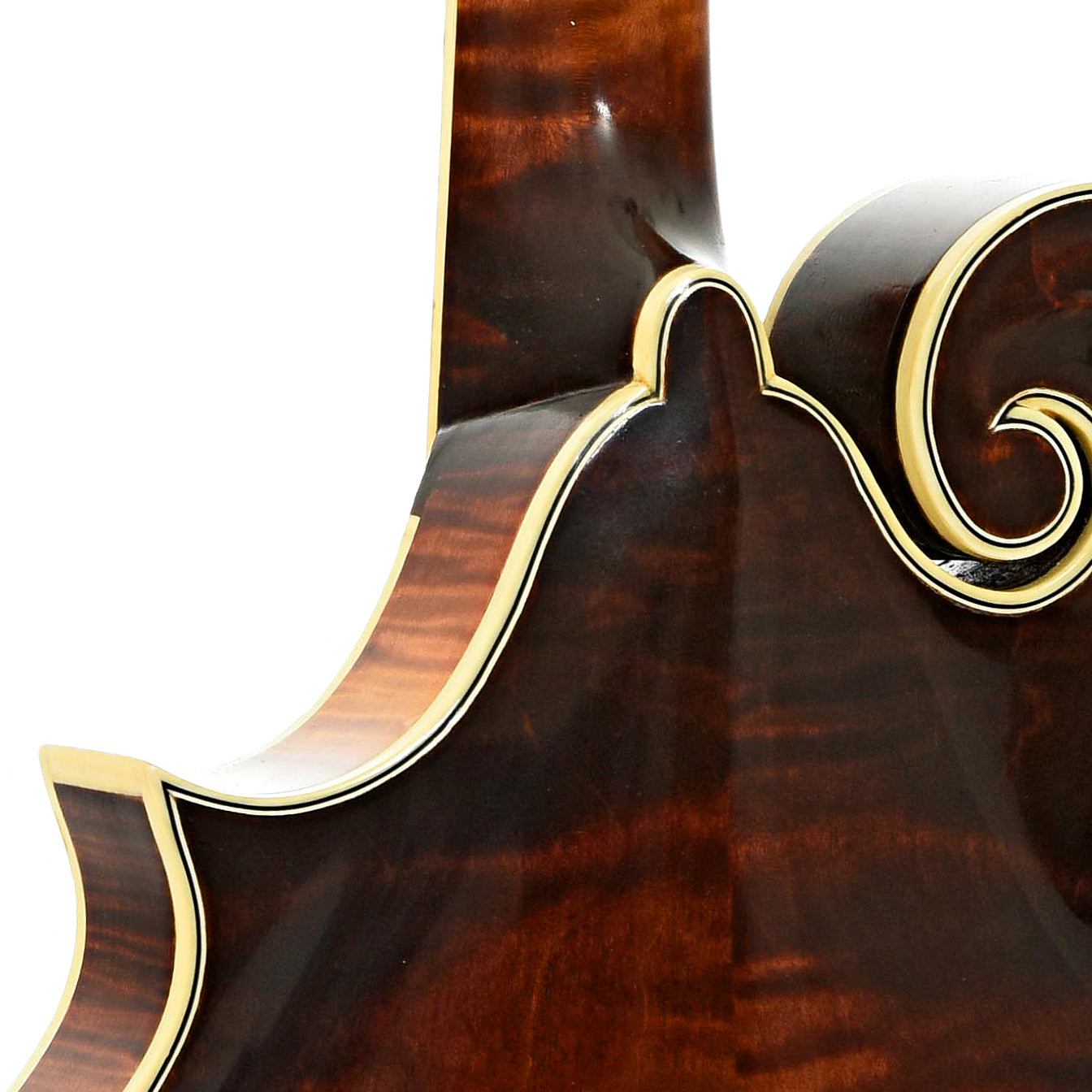 Neck joint of Apitius F5 Classic Mandolin 