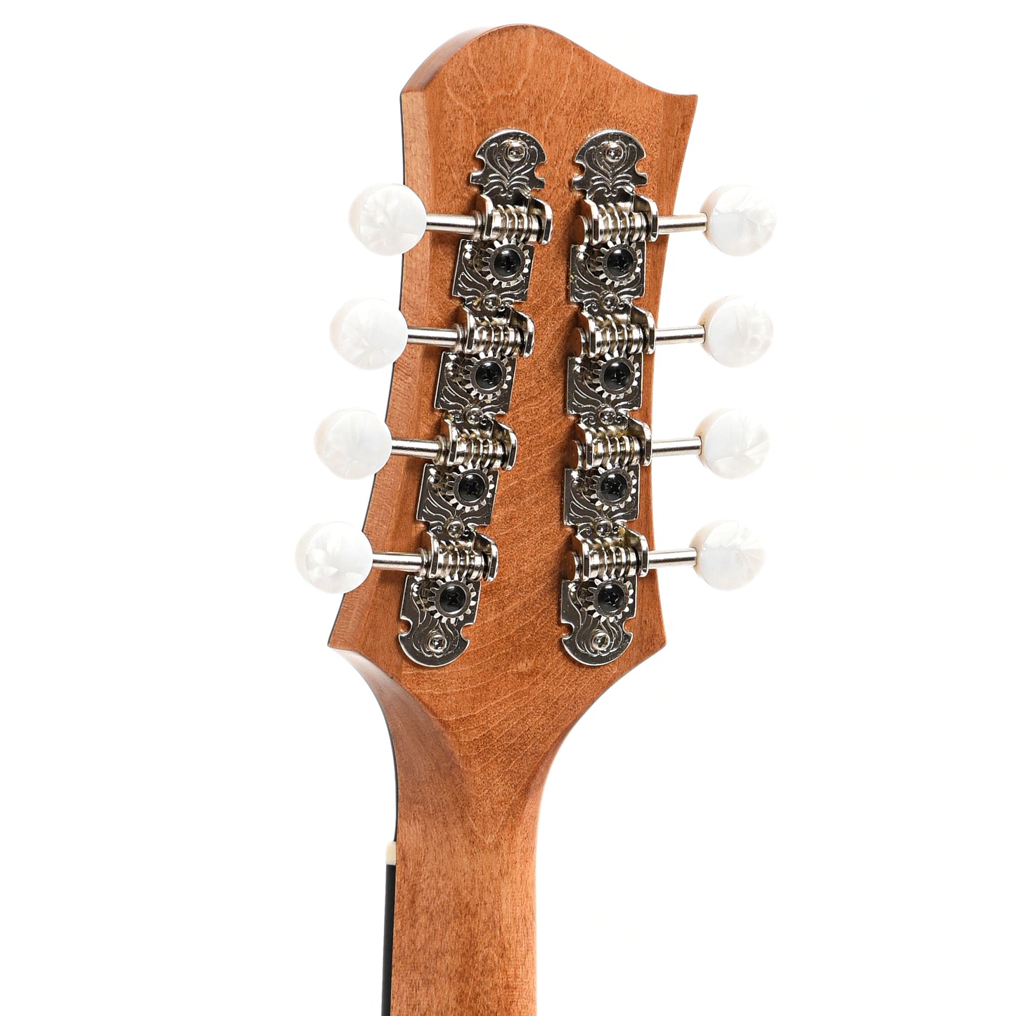 Back headstock of Eastman PCH-M104 Mandolin, Natural