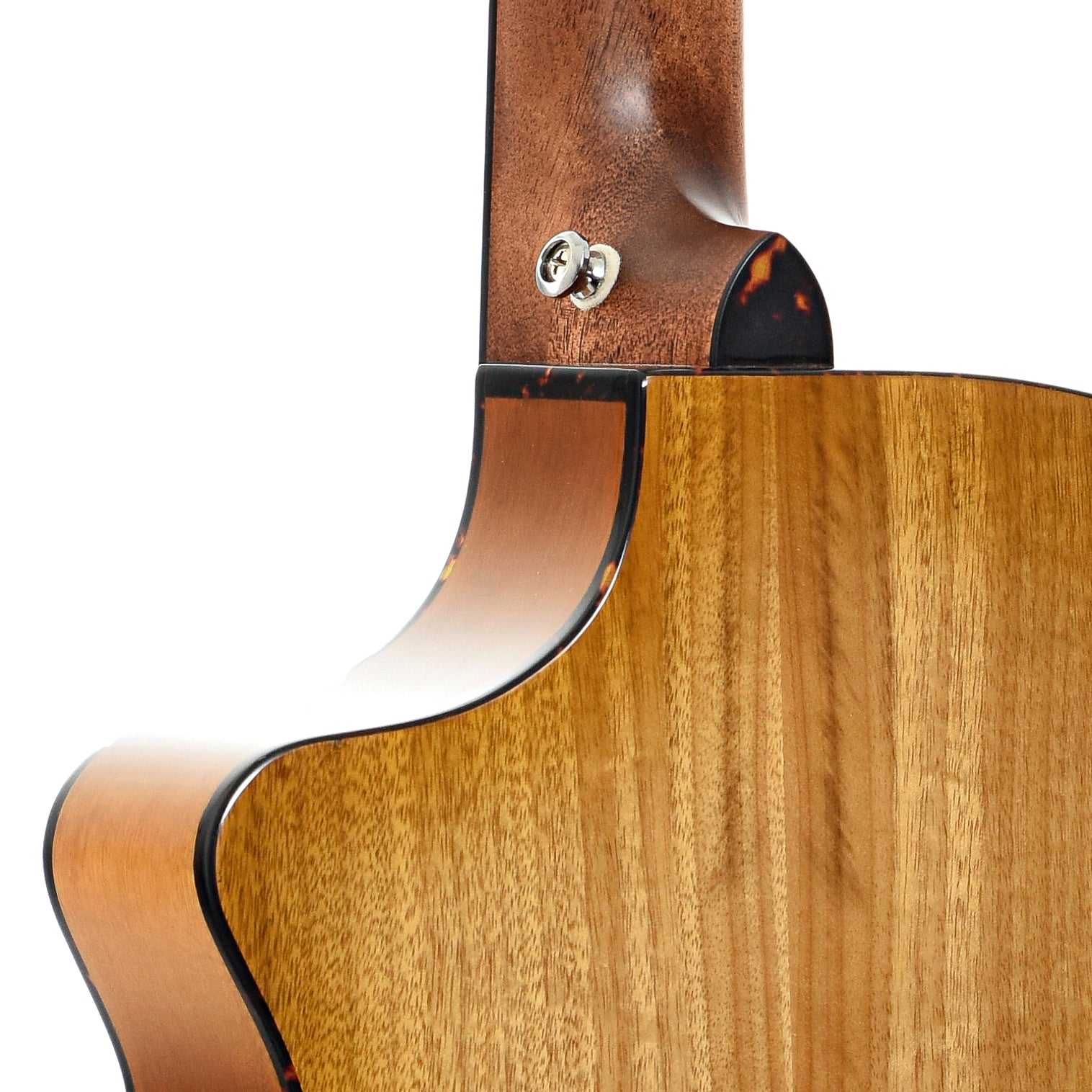 Neck joint of Breedlove Pursuit EX Companion CE MMP