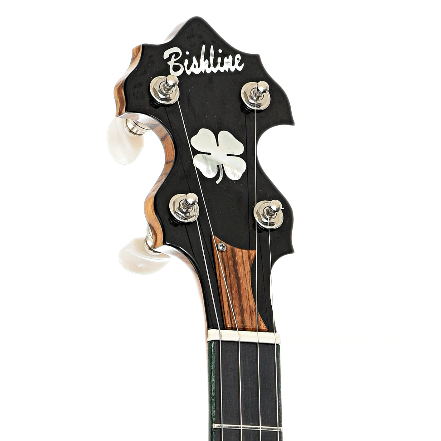 Headstock of Bishline Custom Zebrawood Resonator Banjo