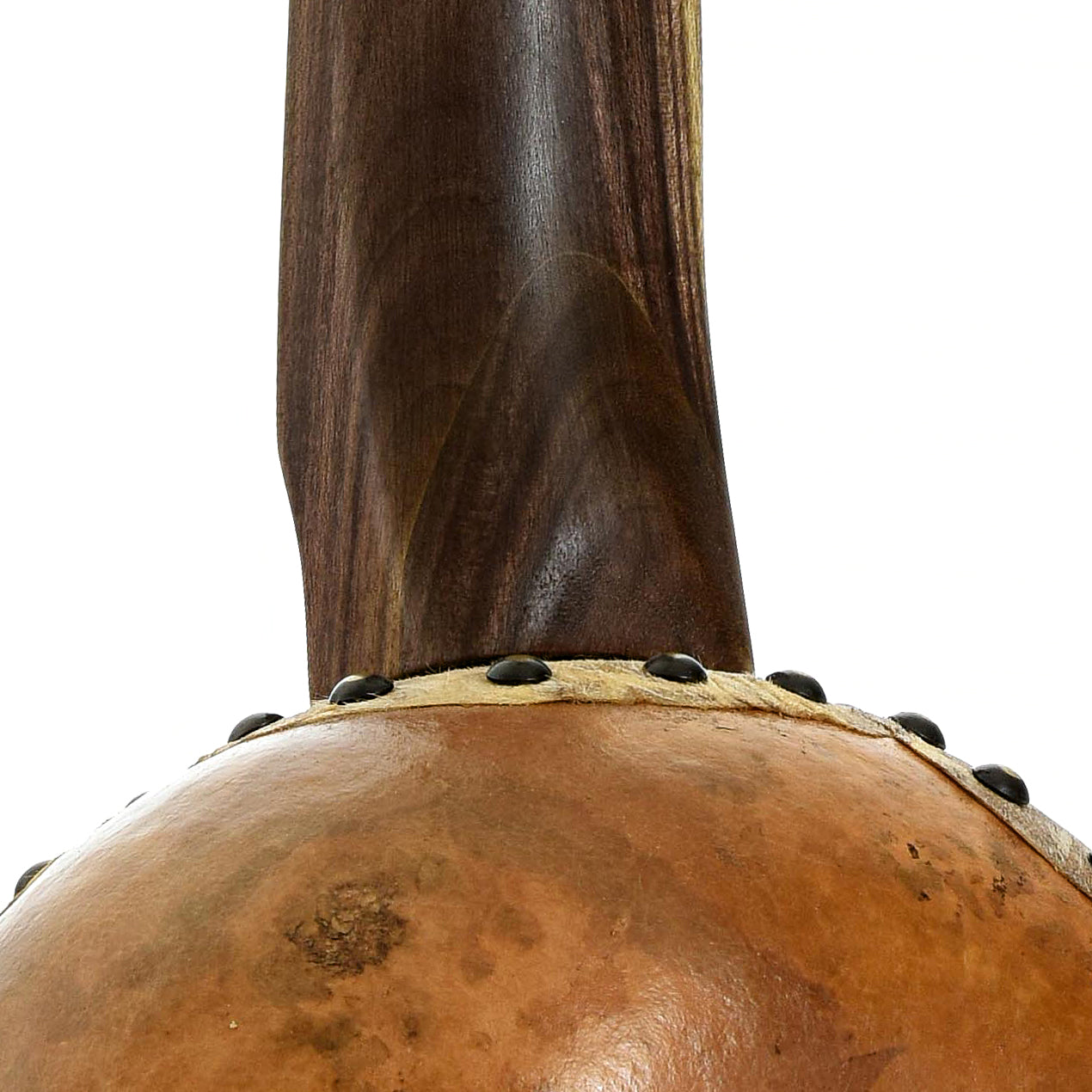 Neck joint of Menzies Fretless Gourd Banjo #588