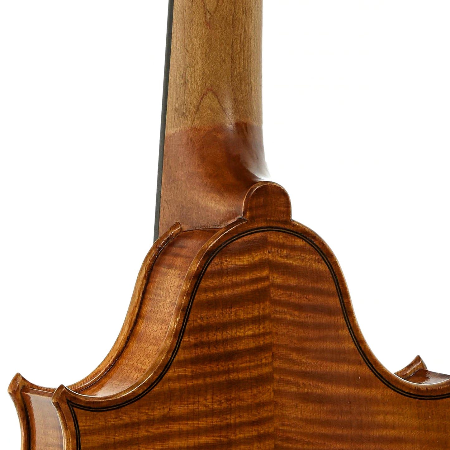 neck joint of Campanella Dué Two-Point Mandolin