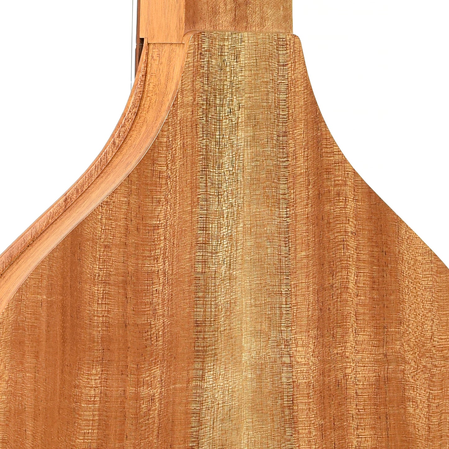 Neck joint of Cole Clark VL2P Violap Hawaiian Guitar (2010)