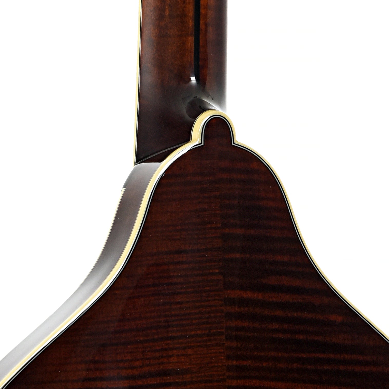 Heel of Bourgeois M5O Octave Mandolin