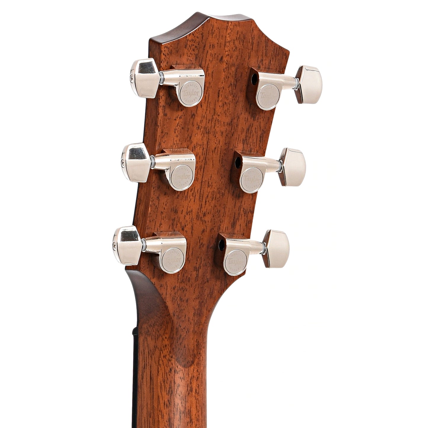 Back headstock of Taylor 414ce-R Acoustic Guitar, Tobacco Sunburst