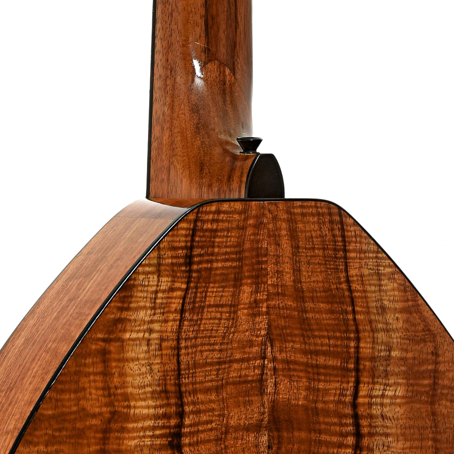 Neck joint of Apollo Long Scale Cittern