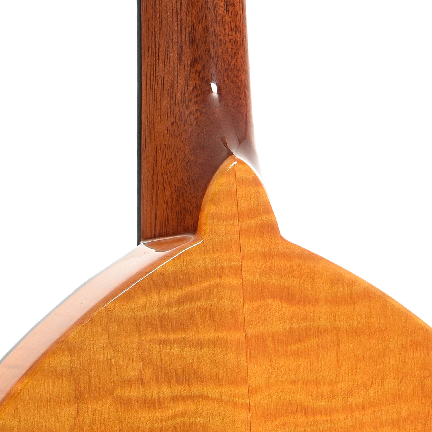 Neck joint of Gold Tone GM-10 Frypan Mandolin 