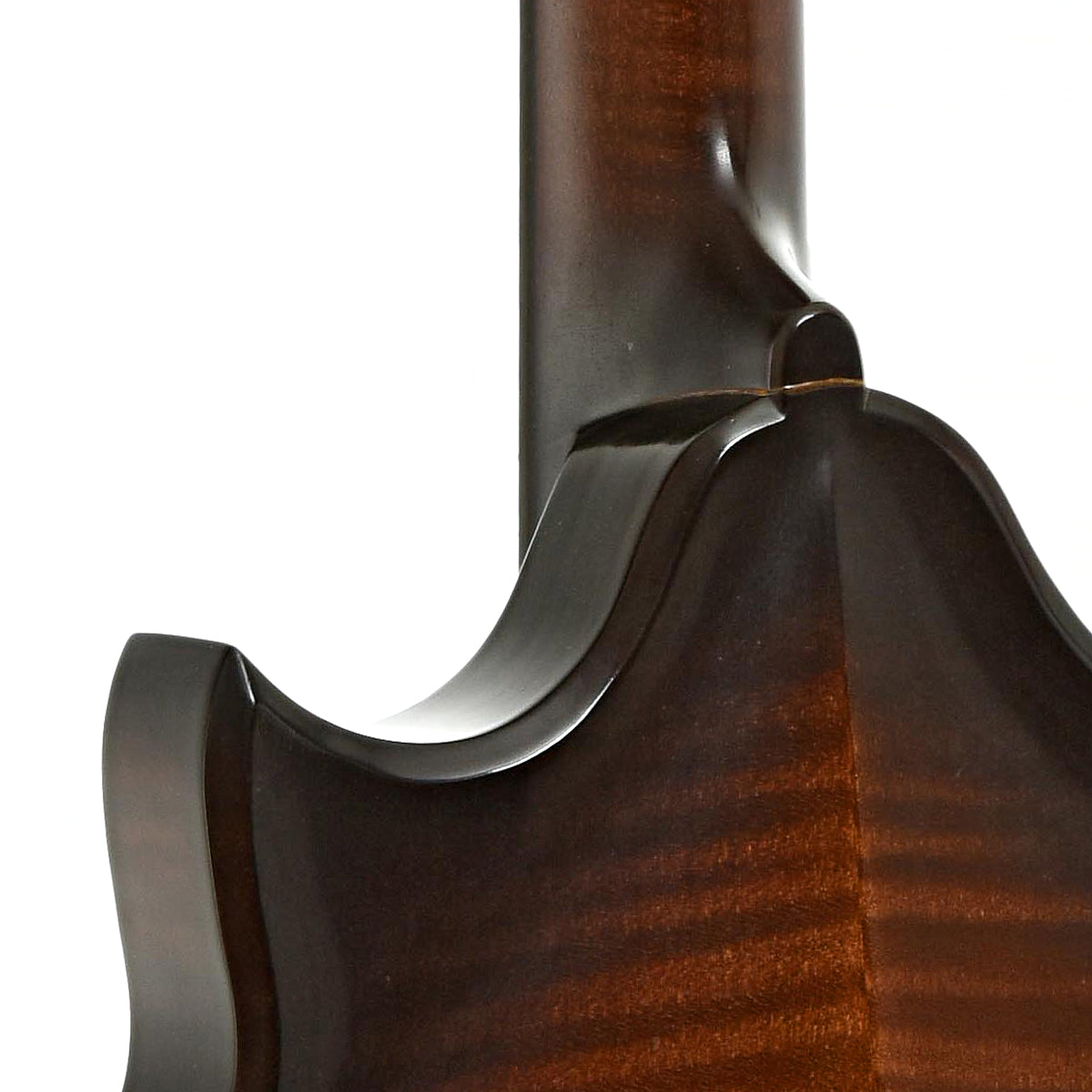 Neck joint of Phoenix Europa III Mandolin 