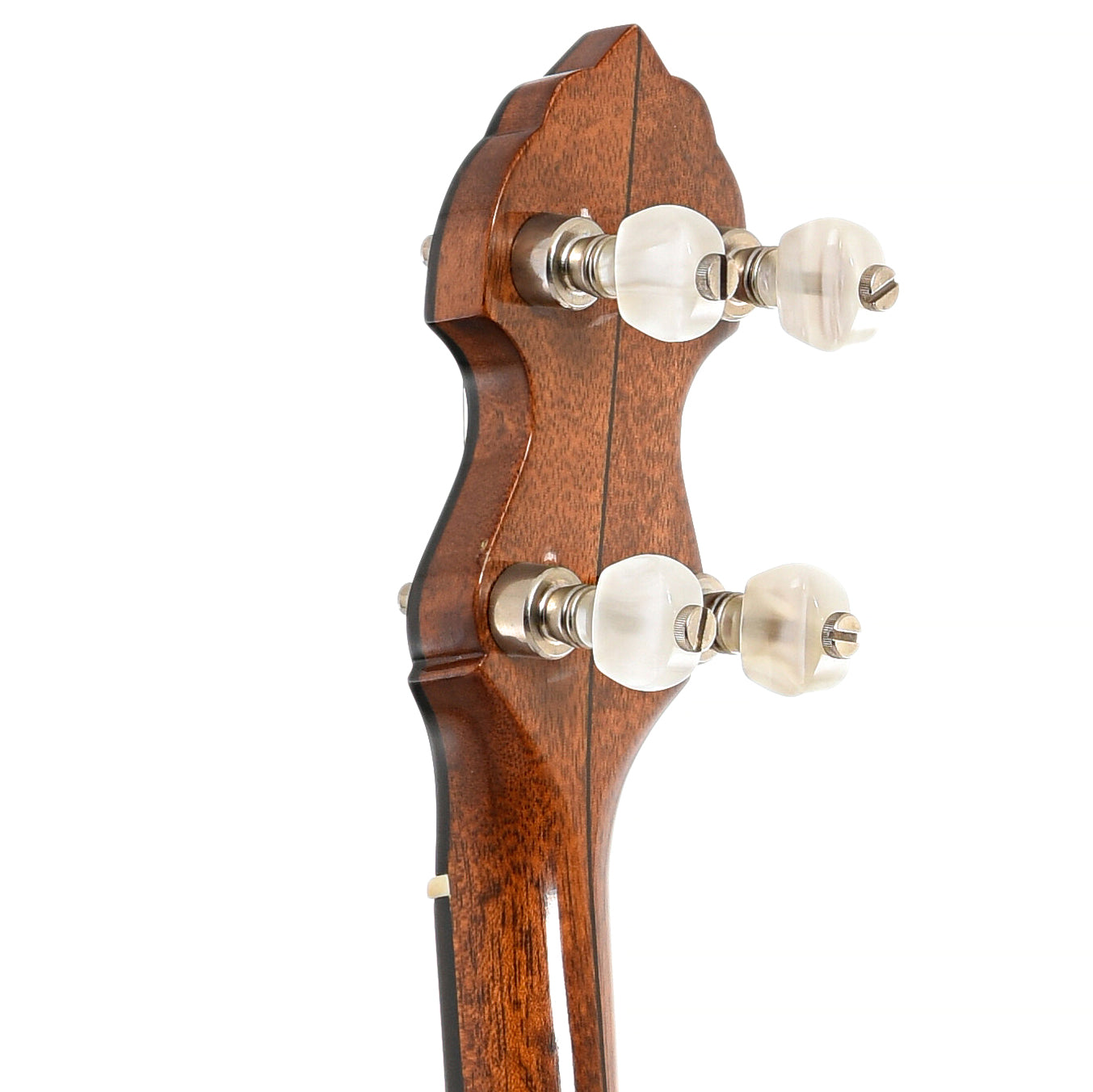 BAck headstock of Bart Reiter Standard Open Back Banjo (1983)