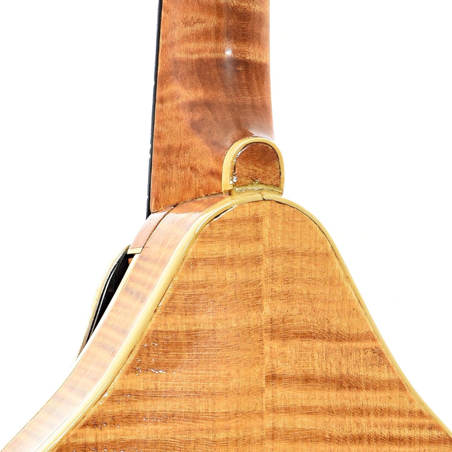 Heel of Jordan Buck A-Style Mandolin (2013)