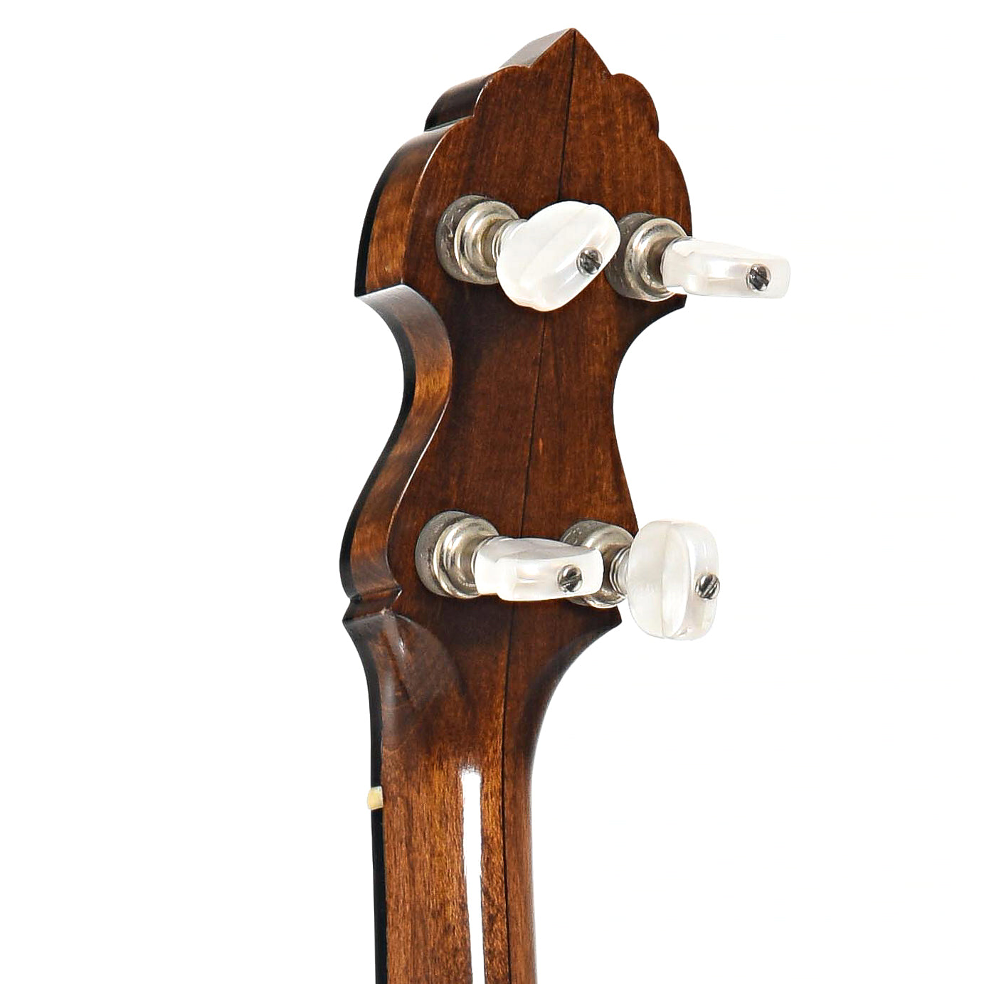 BAck headstock of Bart Reiter Special Open Back Banjo (1998)