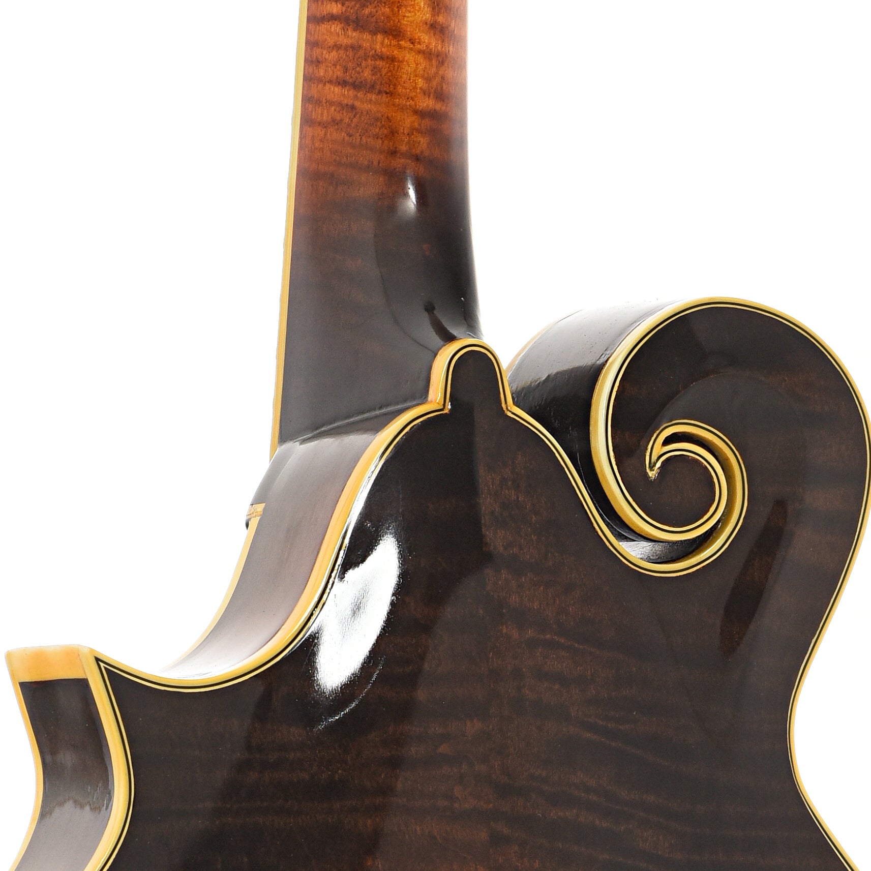 Heel of Thomas "Skip" Kelley F-5 Mandolin (2013)