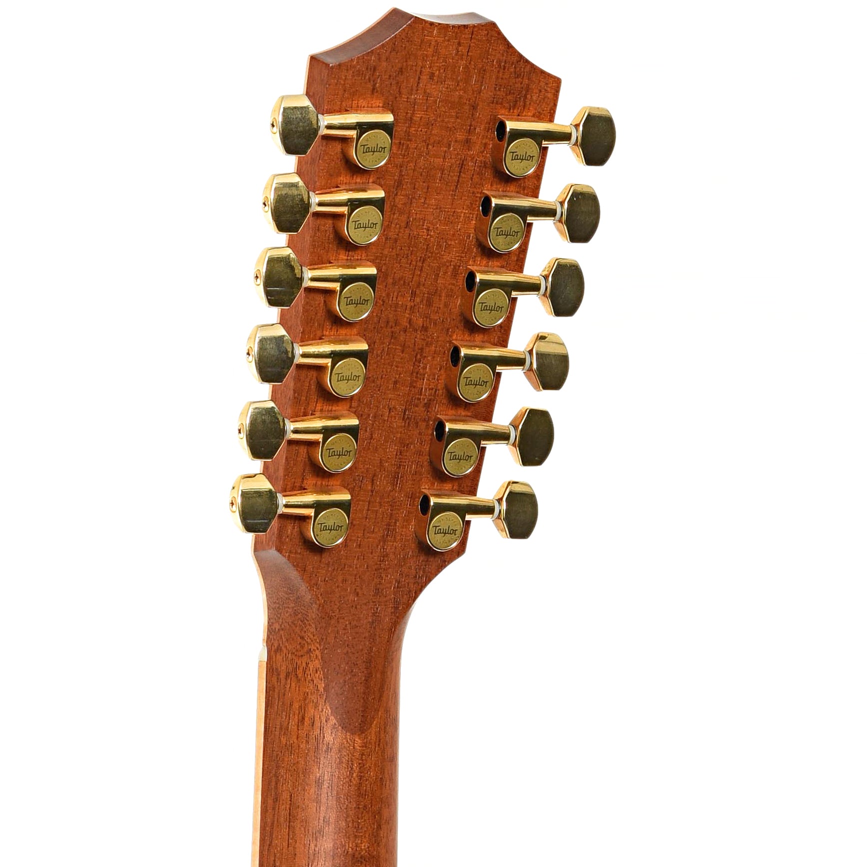 BAck headstock of Taylor 856ce 12-String Acoustic Guitar (2010)