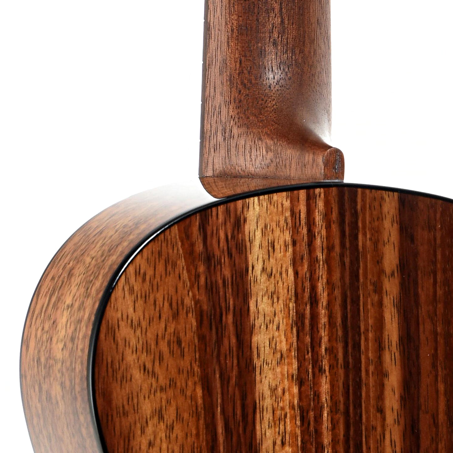 Neck joint of Martin TKE Tenor Ukulele & Gigbag