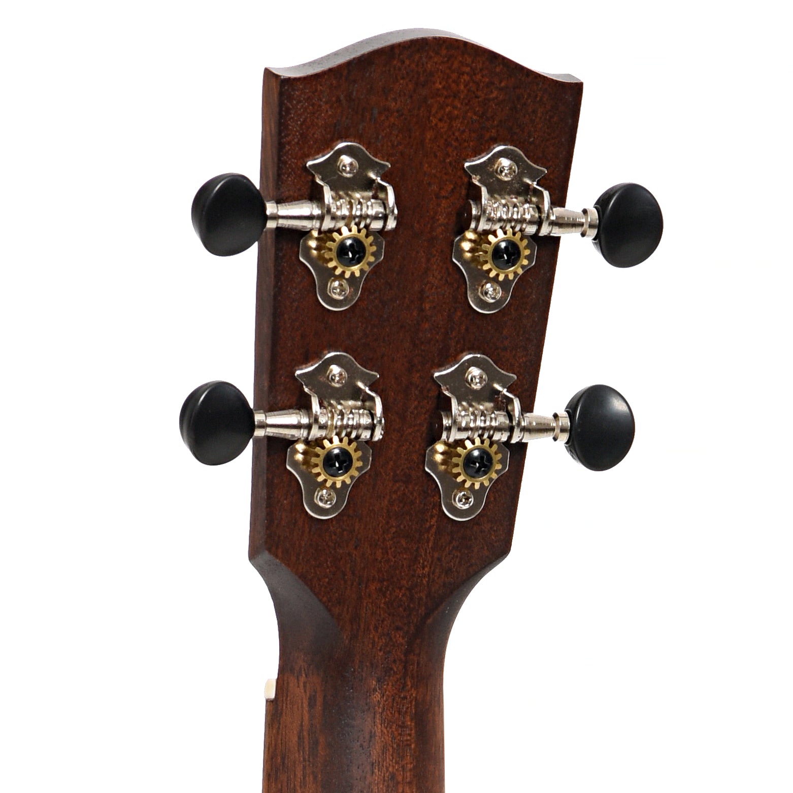 BAck headstock of Eastman EU2-T Tenor Ukulele