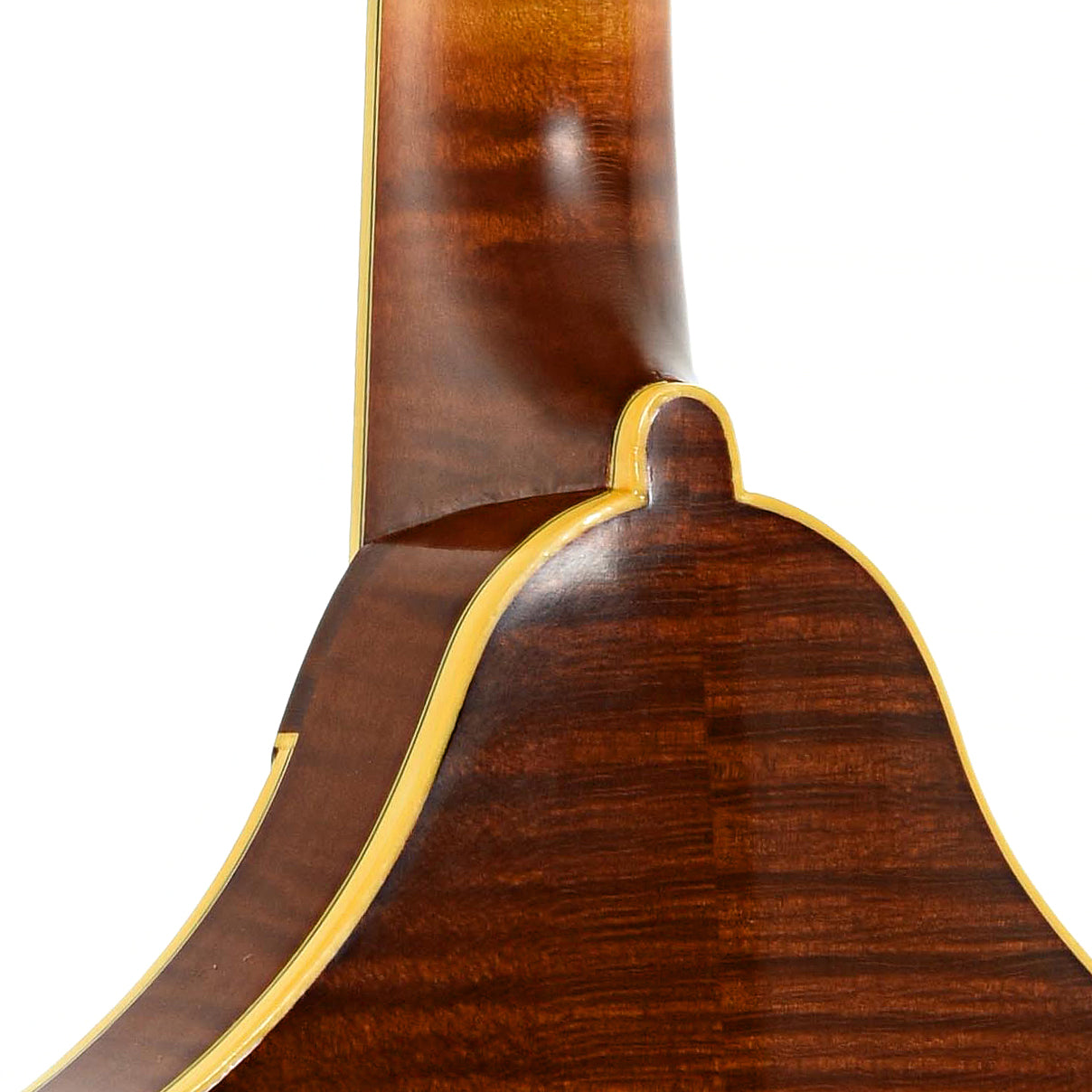 Neck joint of Kimble Two-Point Mandolin