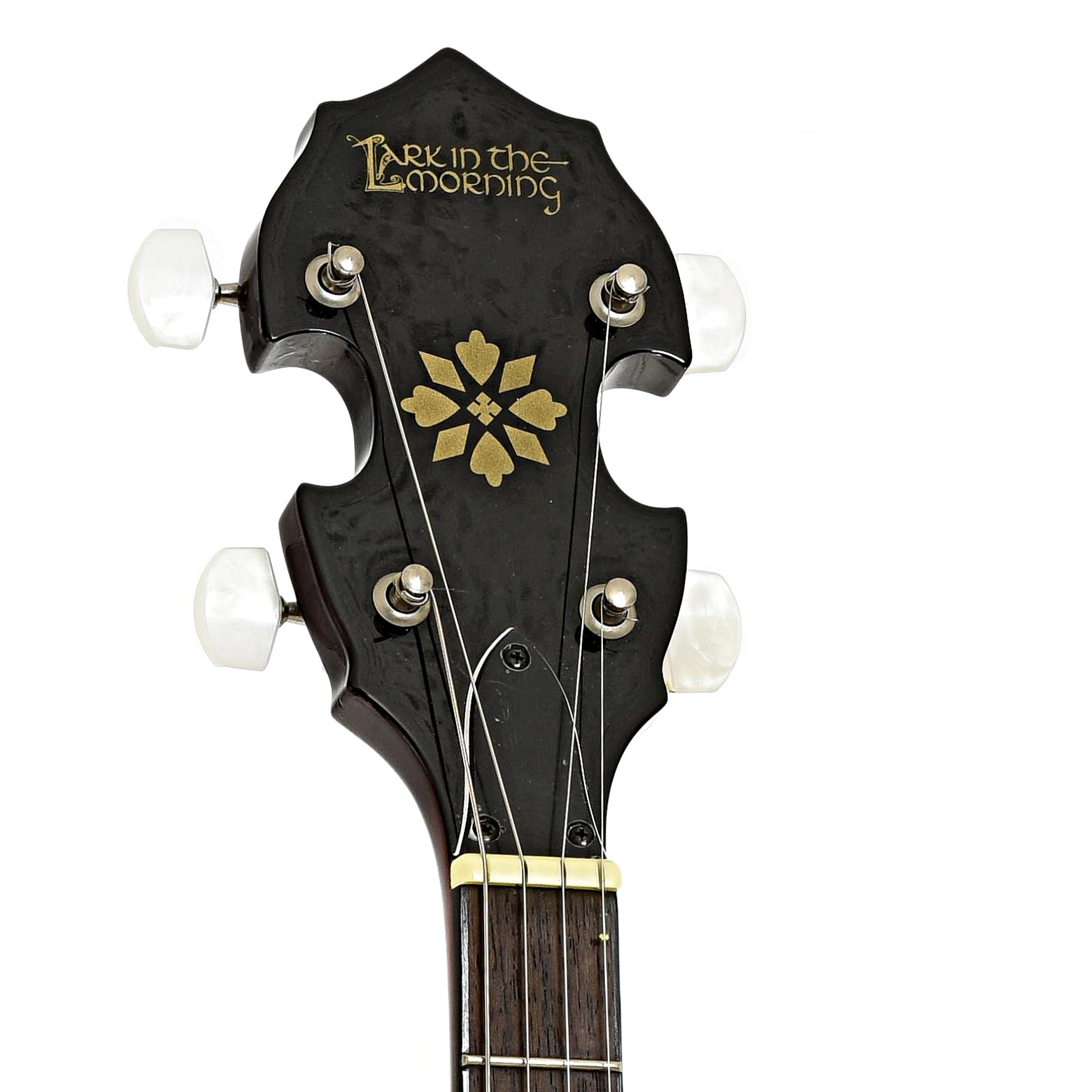 Headstock of Lark in the Morning Tenor Banjo 