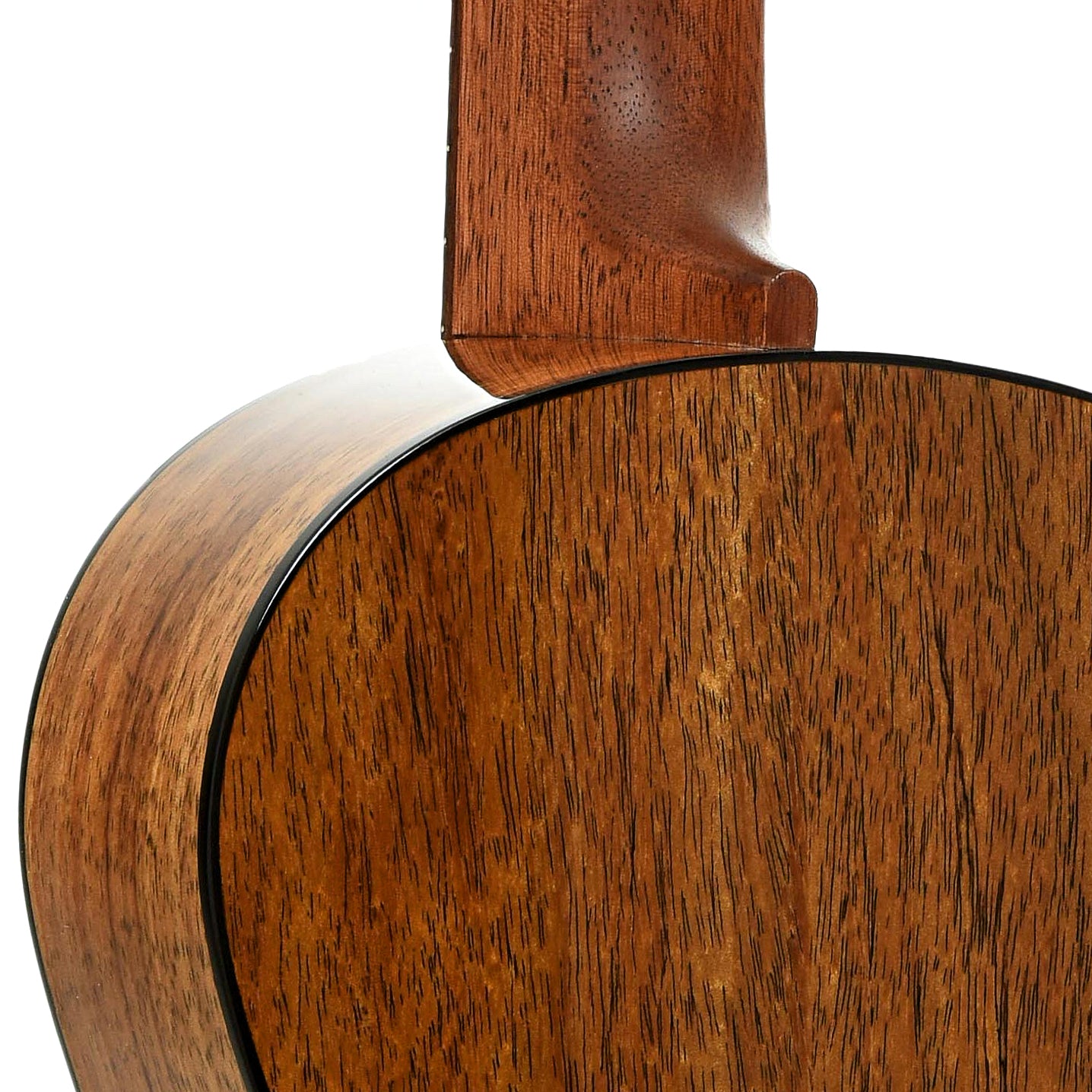 Neck joint of Martin TKE Tenor Ukulele