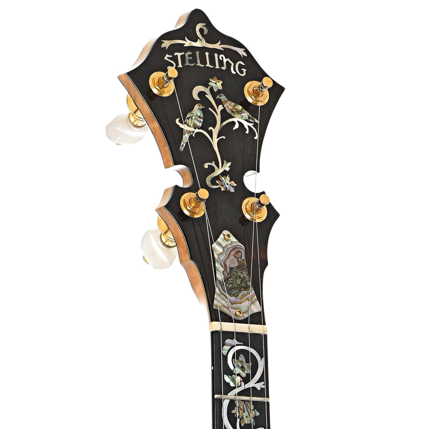 Front headstock of Stelling Tree of Life Resonator Banjo (2001)