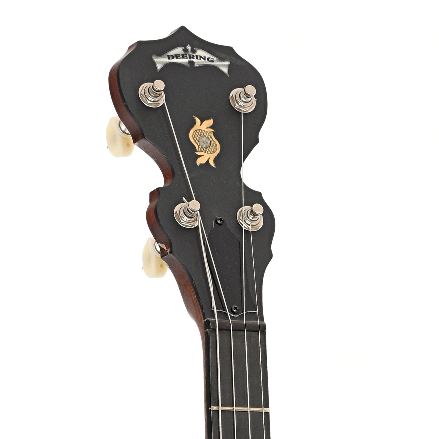 Front headstock of Deering Boston Plectrum 4-string Banjo (2014)