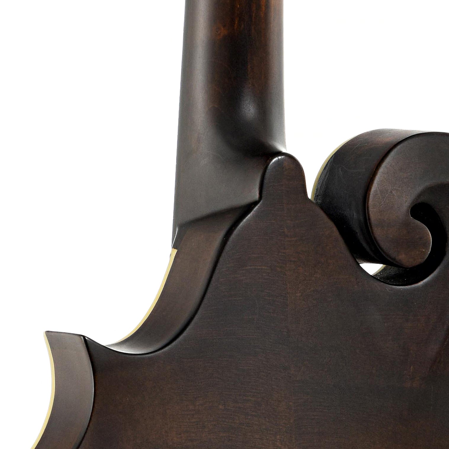 Neck joint of Eastman MD315 F-Style Mandolin 