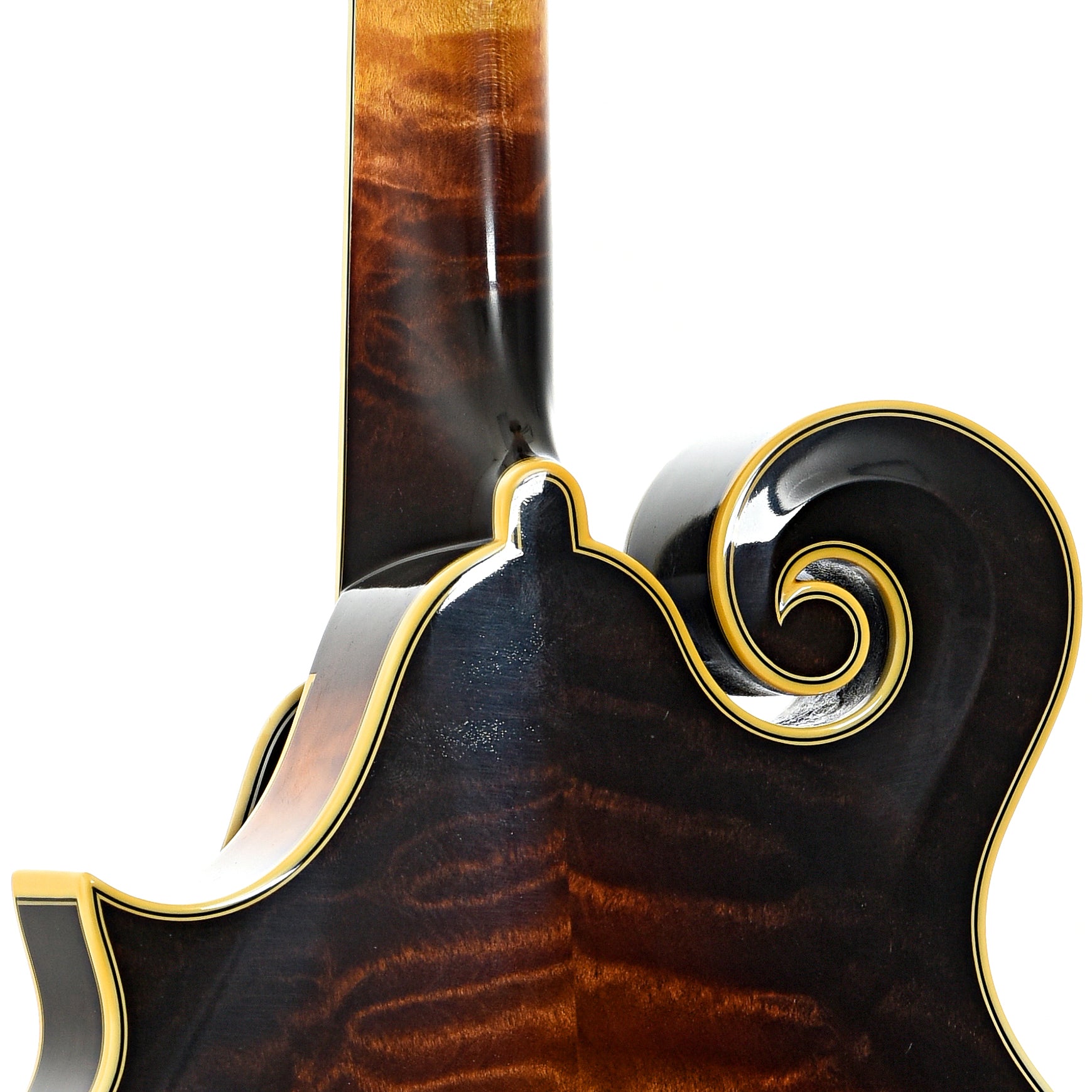 Heel of Ellis F-5 Reserve Mandolin (2016)