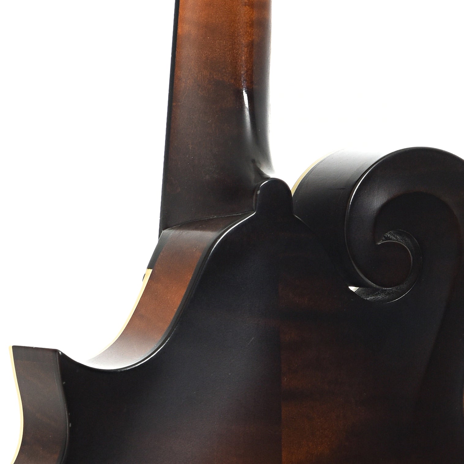 Neck joint of Collings MF F-Style Mandolin (2010)