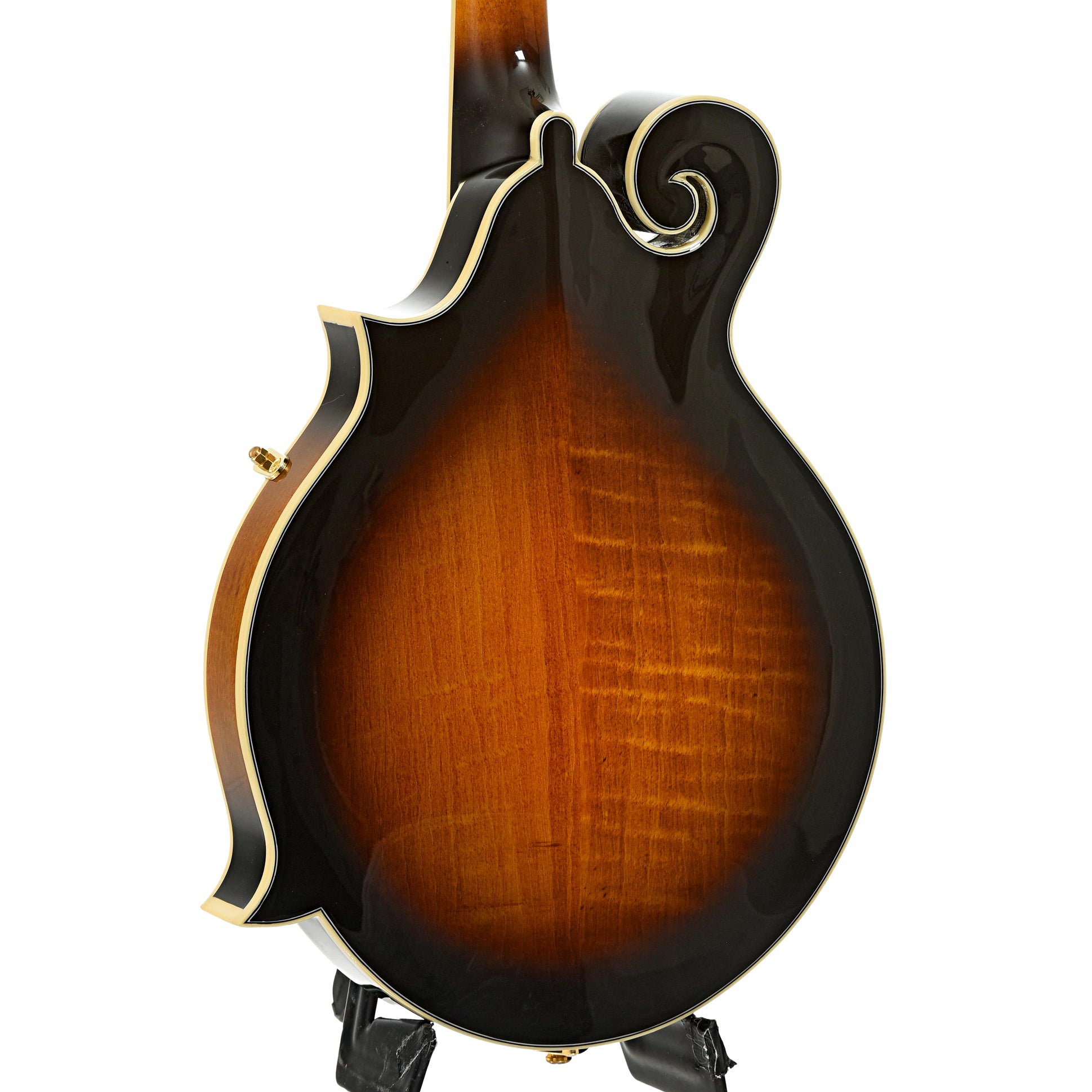 Back and side of Gold Tone GM-70 Plus Mandolin