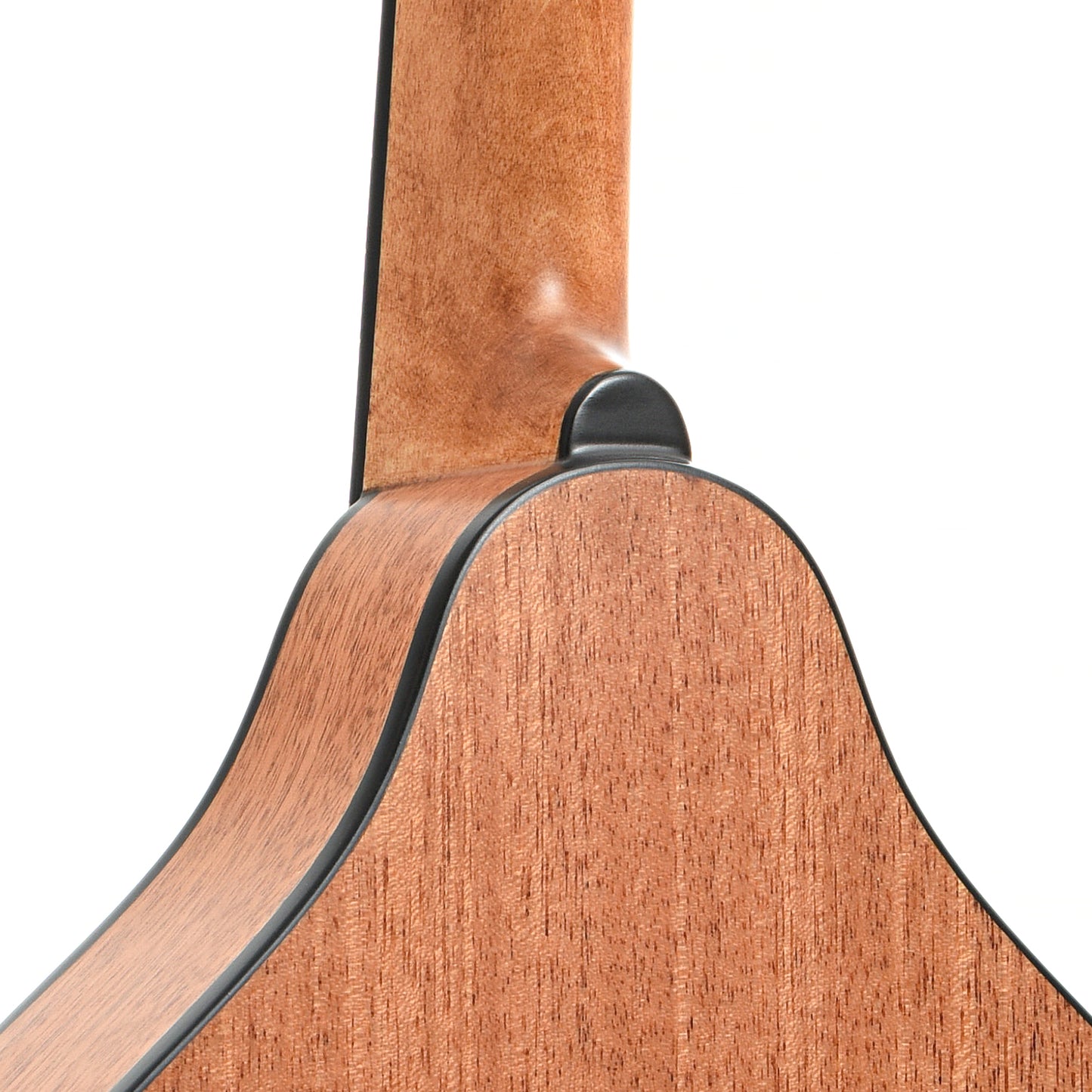 Heel of Eastman PCH-M104 Mandolin, Natural