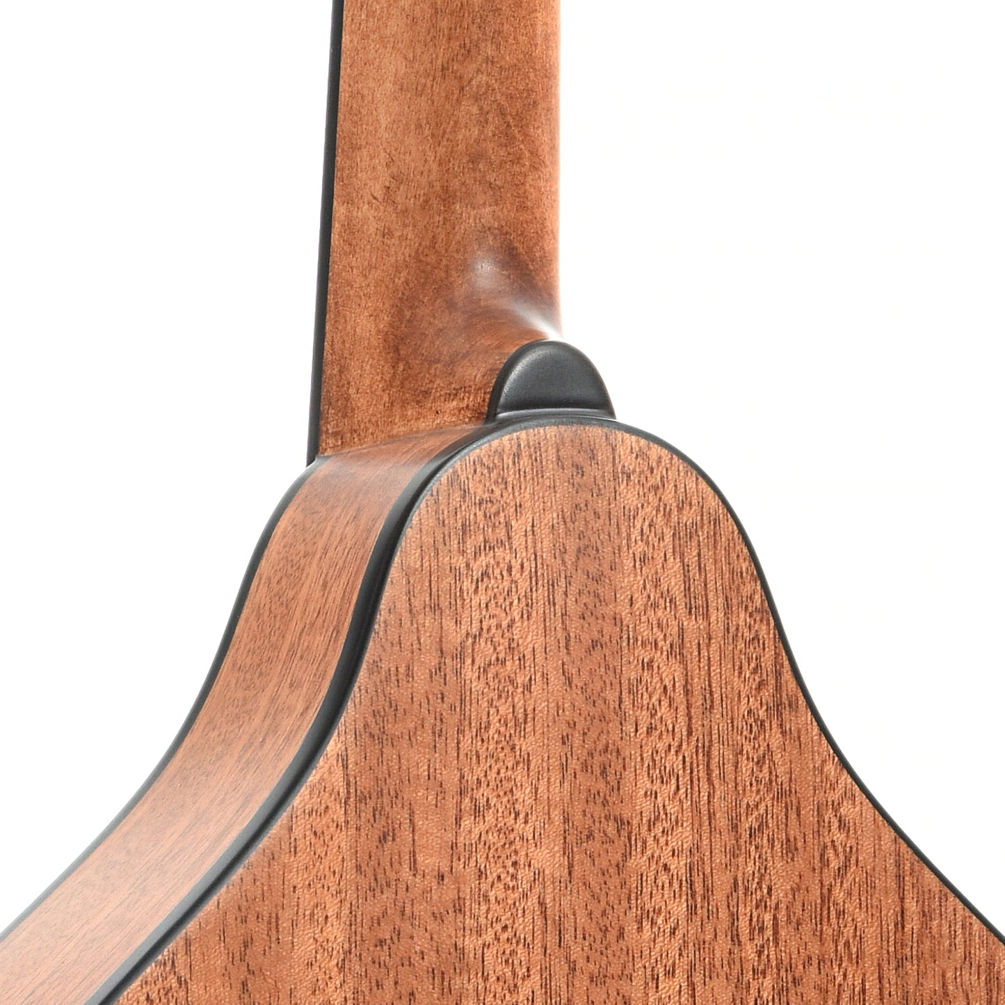 Heel of Eastman PCH-M104 Mandolin Goldburst