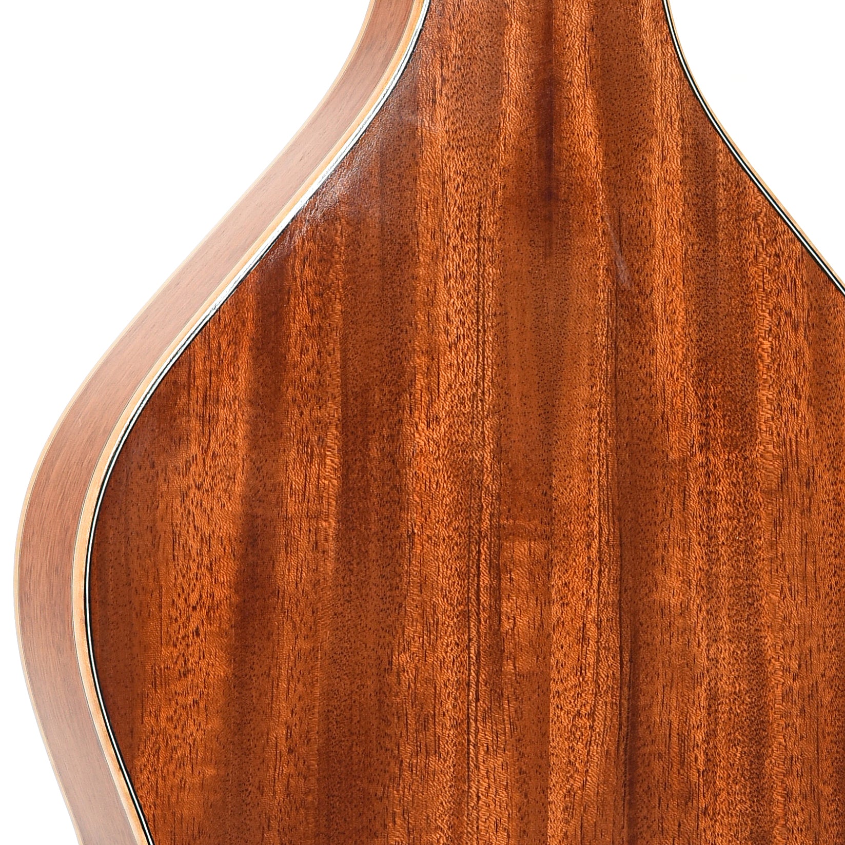 BAck upperbout of Mason Weissenborn-Style Hawaiian Guitar (2014)