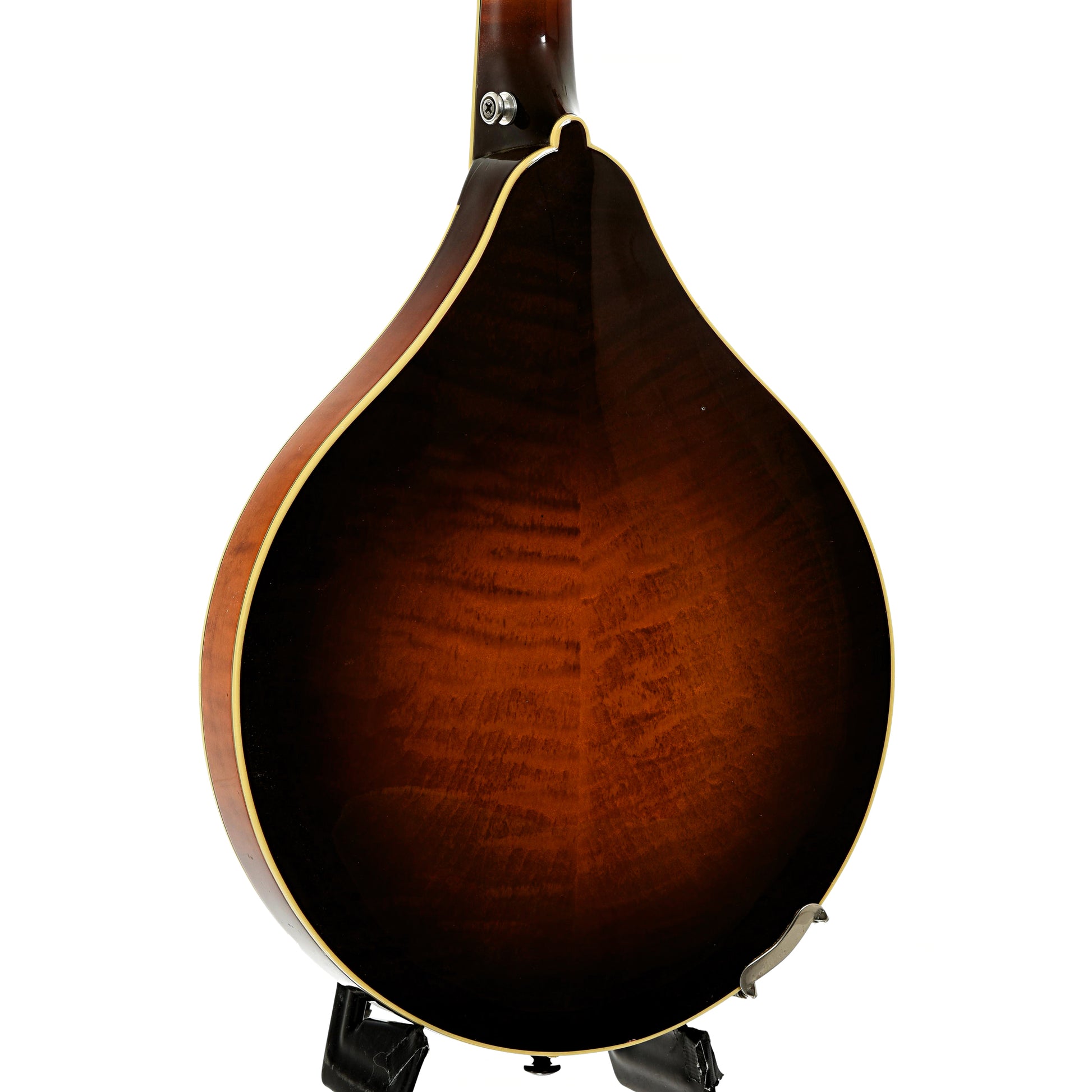 Back and side of Flatiron A-5 Artist Mandolin 