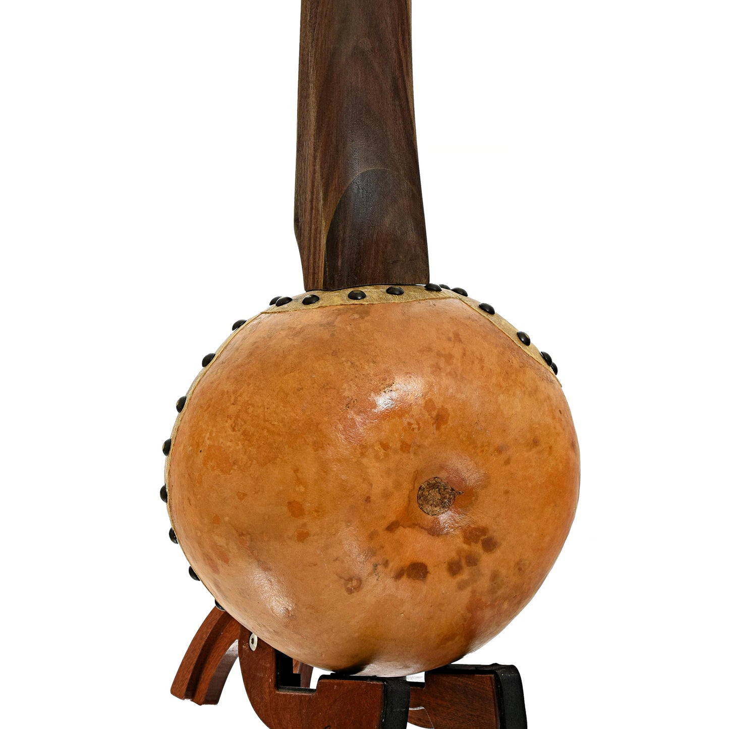 Back and side of Menzies Fretless Gourd Banjo #589