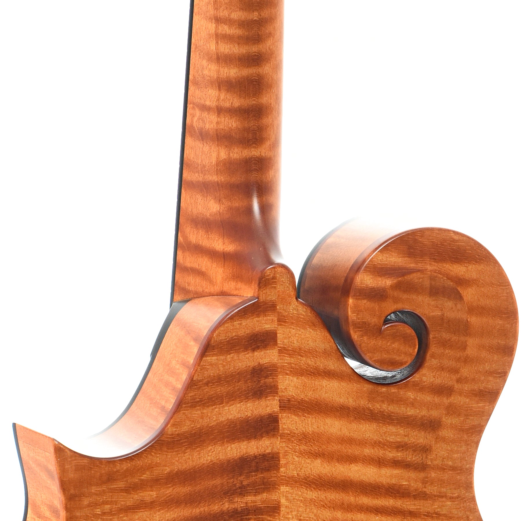 Heel of Collings MF F-Model 