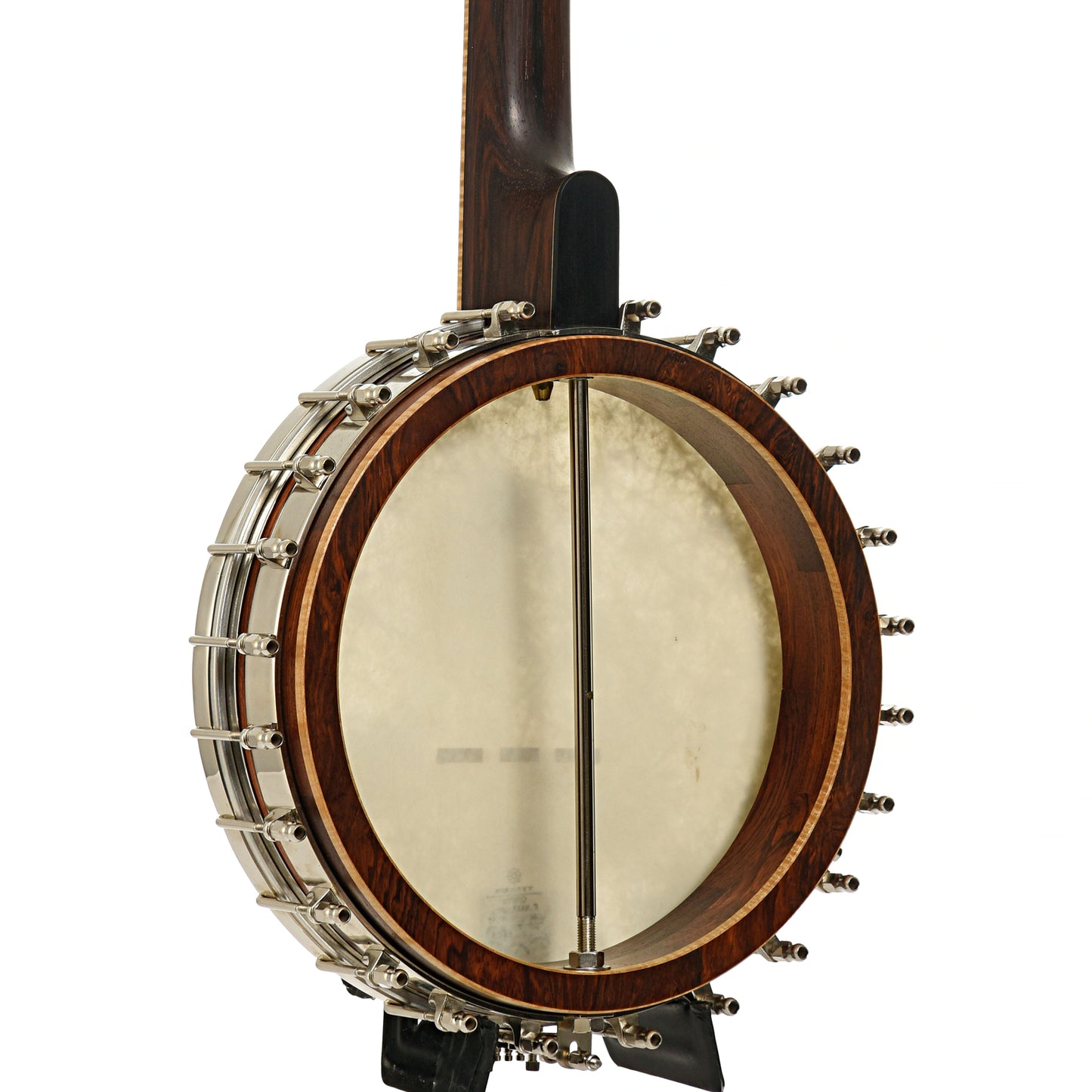 Back and side of Wildwood Custom Dragon Tubaphone Banjo