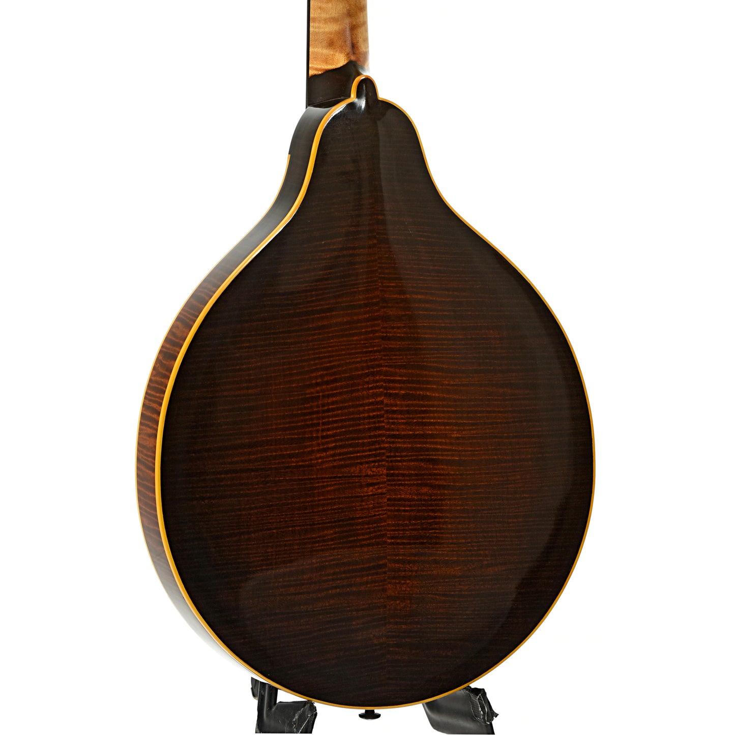 back and side of Heiden Mandola